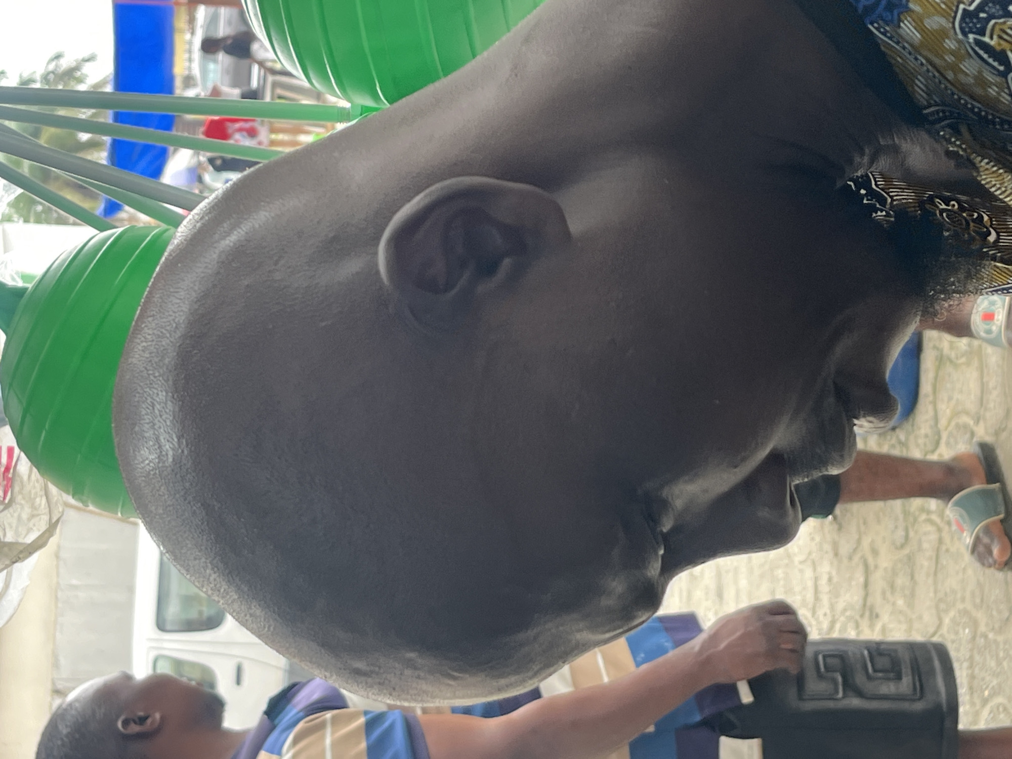 The image shows a close-up of the side of a Black man's head. He is bald and has dark skin. His face is turned down and to the right, with his mouth slightly open. He is wearing a patterned shirt. To the left, another person in a striped shirt is partially visible, holding a dark object. In the background, there are large green objects, possibly part of a market stall or playground equipment. A white van is visible behind the person in the striped shirt. Palm trees and a blue tarp are in the far background, suggesting an outdoor setting in a warm climate, consistent with Ado, Nigeria. The overall impression is that of a casual outdoor gathering or market scene.