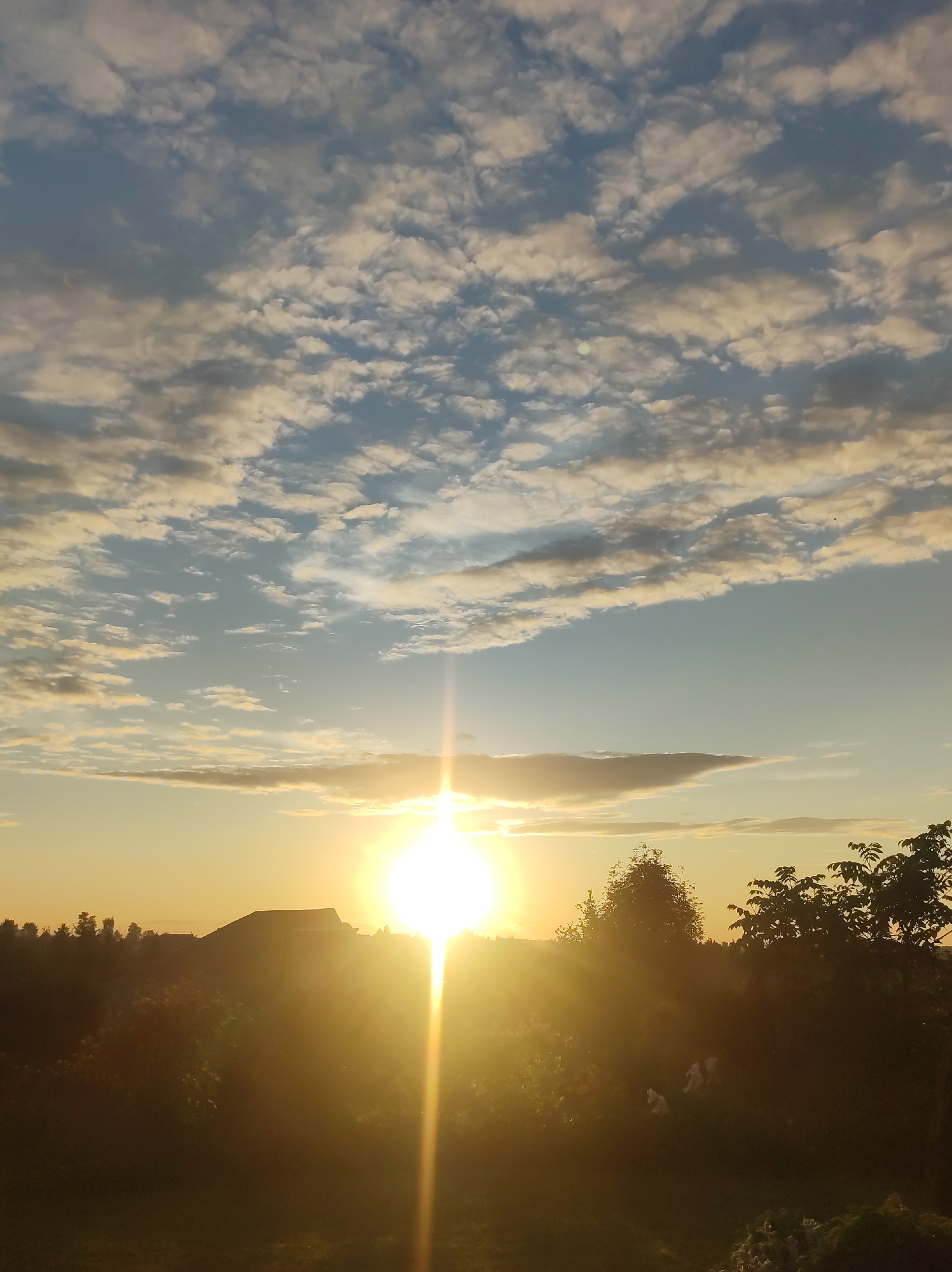 The image depicts a landscape in Foki, Russia, during a low-angle sun event, characteristic of either sunrise or sunset. A large, brilliant yellow-orange sun, positioned in the lower-right quadrant, emits a prominent starburst lens flare that extends vertically and horizontally. The sky transitions from a light, warm orange-yellow near the horizon to a pale blue in the upper half, with extensive coverage by numerous scattered white to light-grey altocumulus clouds of various sizes and shapes. On the horizon, a dark silhouette of a low-rise building, possibly a house, with a distinct roofline, is visible to the left of the sun, flanked by a dense, silhouetted treeline. The foreground consists of heavily shadowed, dense foliage, appearing as dark green to black silhouettes, suggesting a garden or natural shrubbery. No individuals or discernible actions are present.