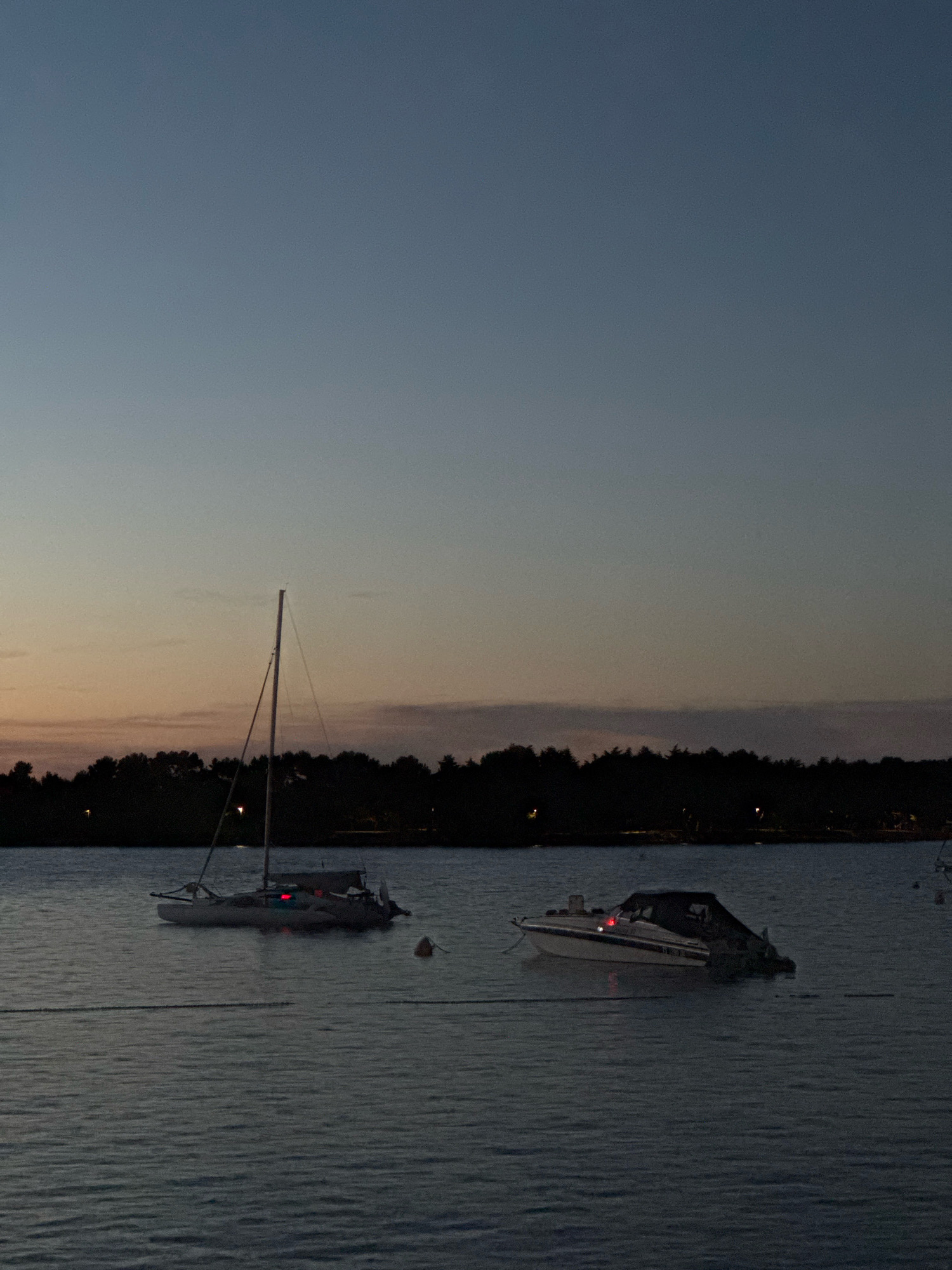 The image depicts a twilight scene over a body of water, likely the Adriatic Sea, near the city of Novigrad, Croatia. The sky transitions from a deep blue at the top to a soft orange and pale yellow near the horizon, indicating the sun has recently set. Silhouetted against the horizon is a dense line of trees forming the coastline.
In the foreground, two boats are visible on the water. On the left, a sailboat with its mast is moored, displaying a red light. On the right, a motorboat with a dark canopy is also anchored. The water surface is calm with gentle ripples. A single orange buoy is present in the water between the two boats. The overall atmosphere is serene and quiet, characteristic of an evening by the coast.
