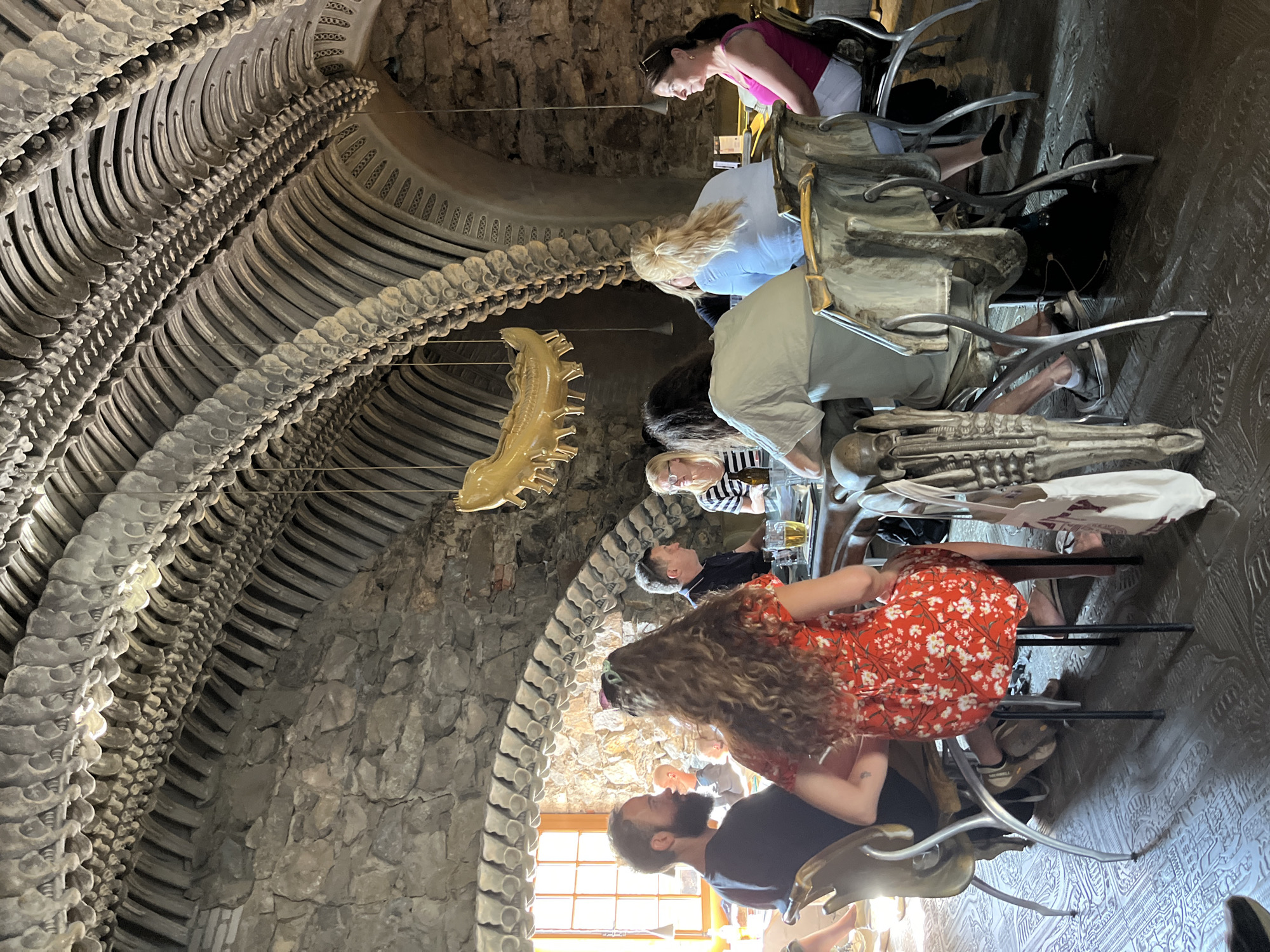 The image depicts a group of people dining in a unique restaurant. The most striking feature of the environment is the ceiling and arched structures, which are intricately decorated with what appear to be bone-like elements, possibly arranged to resemble ribs or vertebrae. The walls are constructed from rough, grey stone. The tables are set for a meal, with food and drinks visible. The people are seated around the tables, engaged in conversation and eating. Their attire suggests a casual dining setting. The lighting in the restaurant seems to be a mix of natural light coming from a window on the left and artificial lighting, casting shadows and highlighting the architectural features. The floor has a patterned texture. The scene is set in the city of Epagny, Switzerland, specifically at the Restaurant de la Saline.