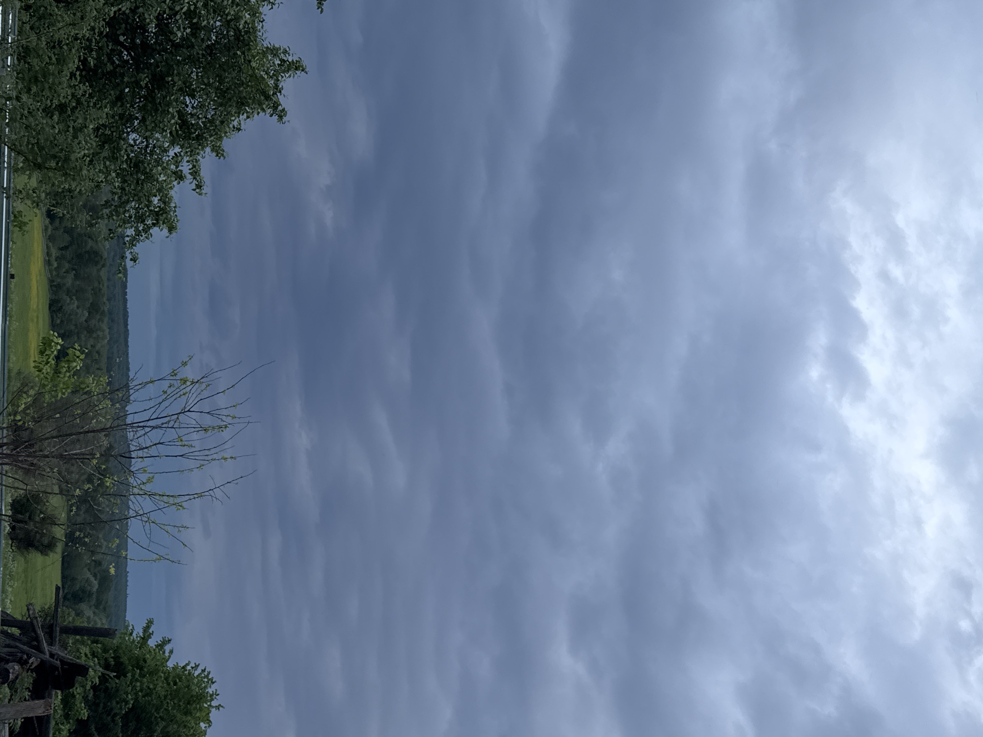 The image shows a landscape in Nizhnyaya Gar', Russia, taken during cloudy weather. The sky is filled with layers of grey and white clouds. On the left side of the image, there is greenery: trees with leaves and a thin branch. The edge of a field is visible, followed by a dense forest. A wooden fence is located in the bottom left corner.
