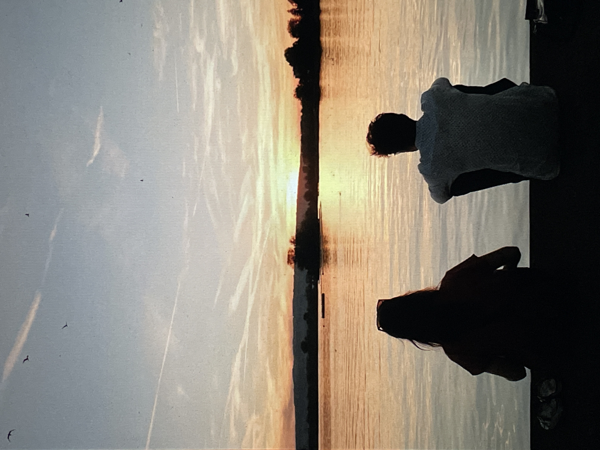 The image shows a view of water at sunset, likely in Saint Petersburg, Russia, given its northern location and waterways. Two figures are silhouetted in the foreground, standing on what appears to be a dock or embankment. One figure is wearing a light-colored short-sleeved shirt, and the other has long hair and is wearing glasses. A thin line of trees or land extends along the center of the image, dividing the sky and water. Several birds are visible in the sky. The light from the sunset creates a reflection on the water's surface.