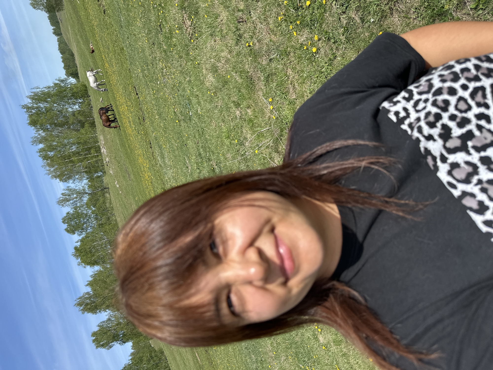 A woman is lying on a grassy field. In the background, there are horses grazing. The sky is blue with trees in the distance.