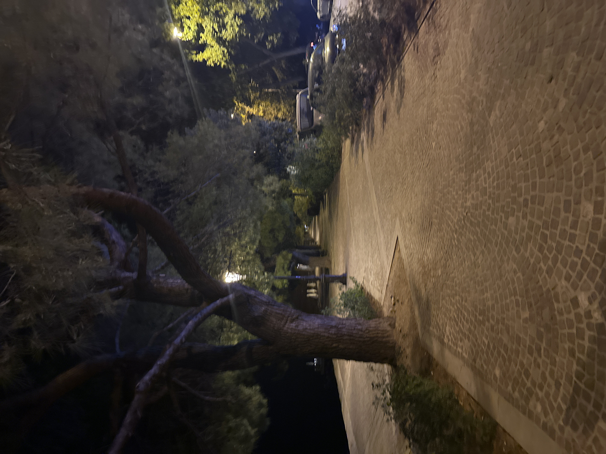 The image depicts a nighttime scene of a paved walkway lined with trees and vegetation. The walkway appears to be constructed of cobblestones and is illuminated by streetlights. Several parked cars are visible along the right side of the walkway, partially obscured by bushes. In the background, a dark body of water can be seen to the left, suggesting the location is a waterfront area. The overall atmosphere is quiet and serene, with the natural elements and artificial lighting creating a distinct mood. Based on its characteristics, this scene is consistent with the appearance of the Riva Caduti per la Libertà in Trieste, Italy, a well-known waterfront promenade.