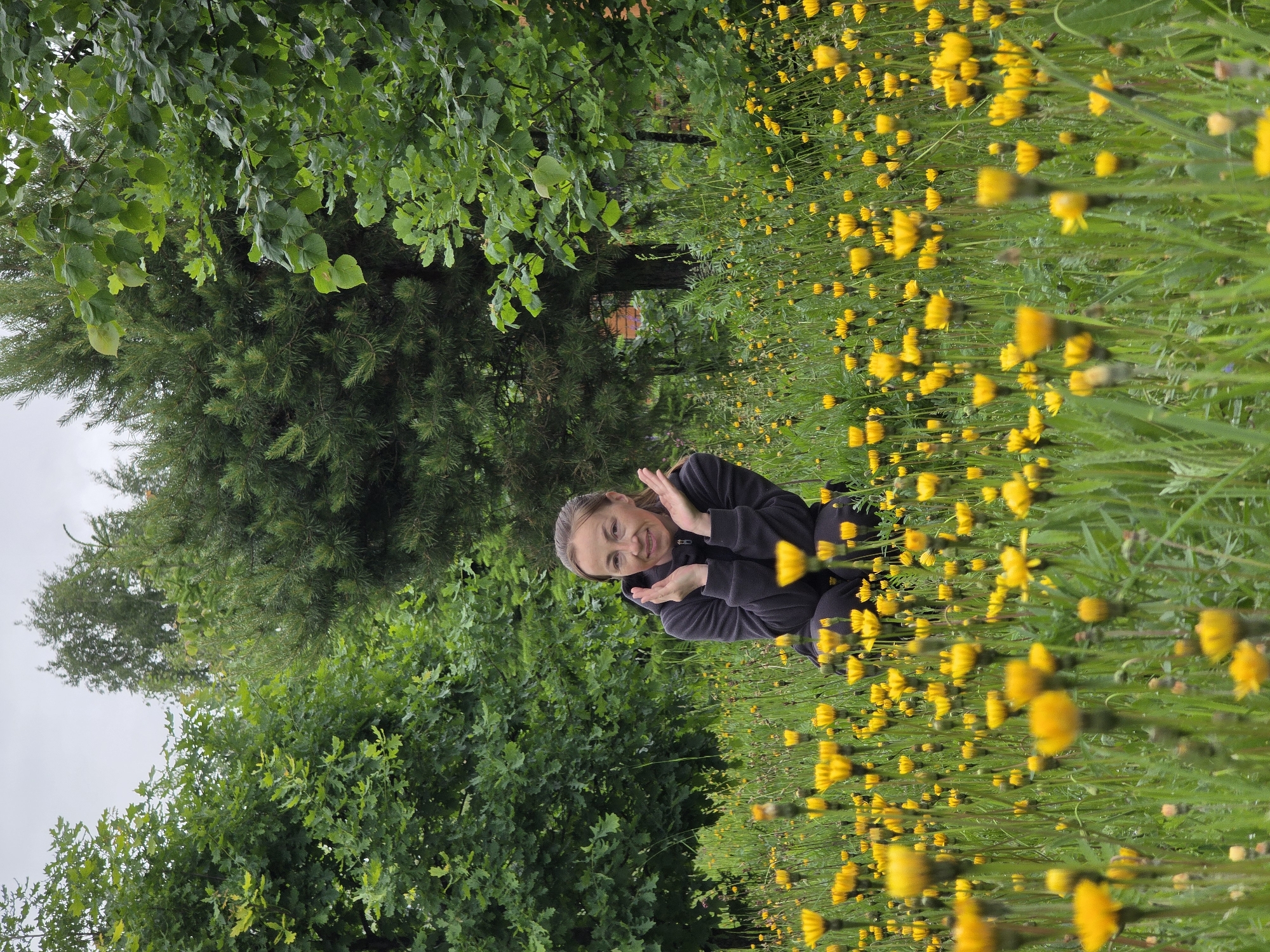 The image presents an outdoor scene located in the city of Chaikovsky, Russia. A woman, appearing to be an adult, is positioned in the lower-middle section of the frame, crouching or kneeling amidst a field of yellow flowers. She has light brown hair pulled back and is wearing a dark, zippered, hooded jacket and dark pants. Her hands are raised to the sides of her face, with palms open and facing outwards. She is looking directly towards the viewer with a smile.
The foreground and midground are covered by a dense growth of numerous small, bright yellow flowers, consistent with species such as dandelions or hawkweeds, intermixed with green grass and other foliage. The flowers are uniformly distributed, creating a continuous yellow and green carpet effect.
The background consists of a thick treeline under an overcast, light grey sky. On the left side, deciduous trees with green, lobed leaves are prominent. On the right side, darker green coniferous trees with needle-like foliage are visible. A faint reddish-orange structure or building element is discernible through the trees in the far background. The ambient lighting is soft and diffused, characteristic of an overcast day.
