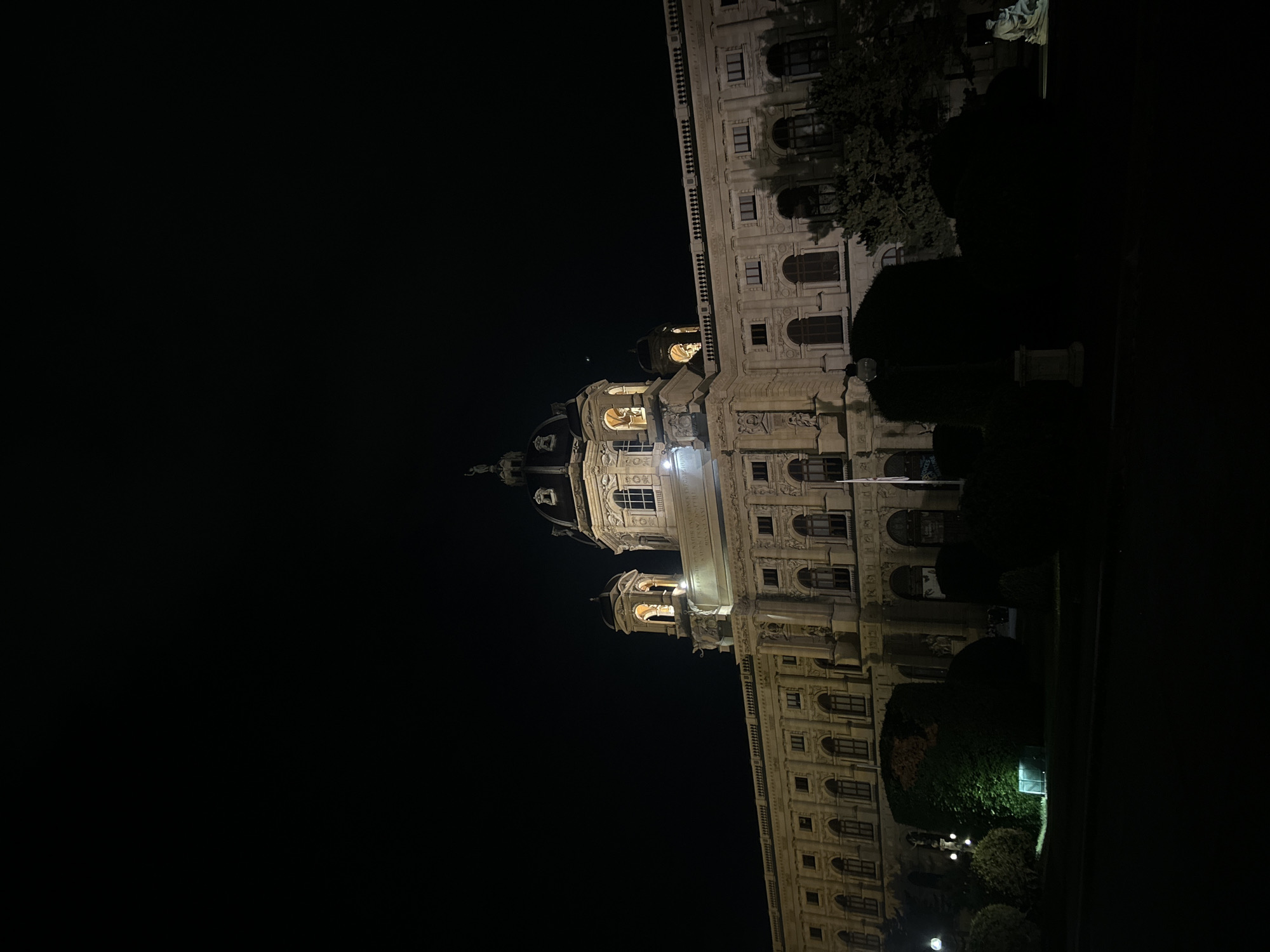 The image depicts the exterior of the Naturhistorisches Museum Wien (Natural History Museum Vienna) in Vienna, Austria, at night. The grand Baroque-style building is illuminated by artificial lights, highlighting its ornate architecture, including its domed roof, multiple windows, and decorative sculptures. In the foreground, dark silhouettes of trees and bushes obscure the lower portion of the museum. A lamppost is visible on the left side of the frame. A statue can be seen on the far right of the image. The sky above is dark and clear.