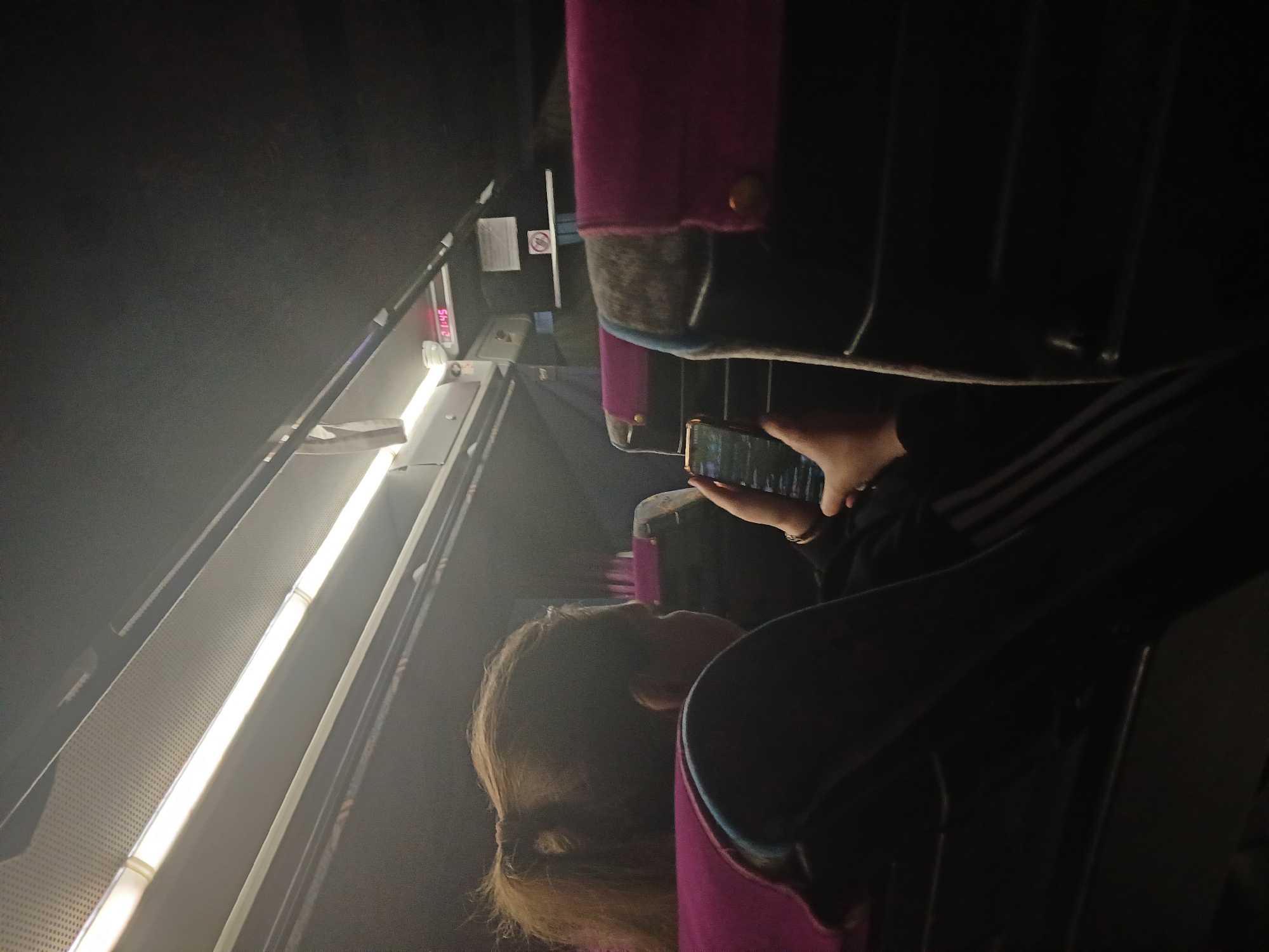 Inside a bus or train, a young person with light brown hair pulled back in a ponytail is sitting and looking at a smartphone. The seat is upholstered in pink. Above, a fluorescent light illuminates the interior. The exact location is indeterminate; the city of Chernovskoe, Russia, is not indicated in the image.