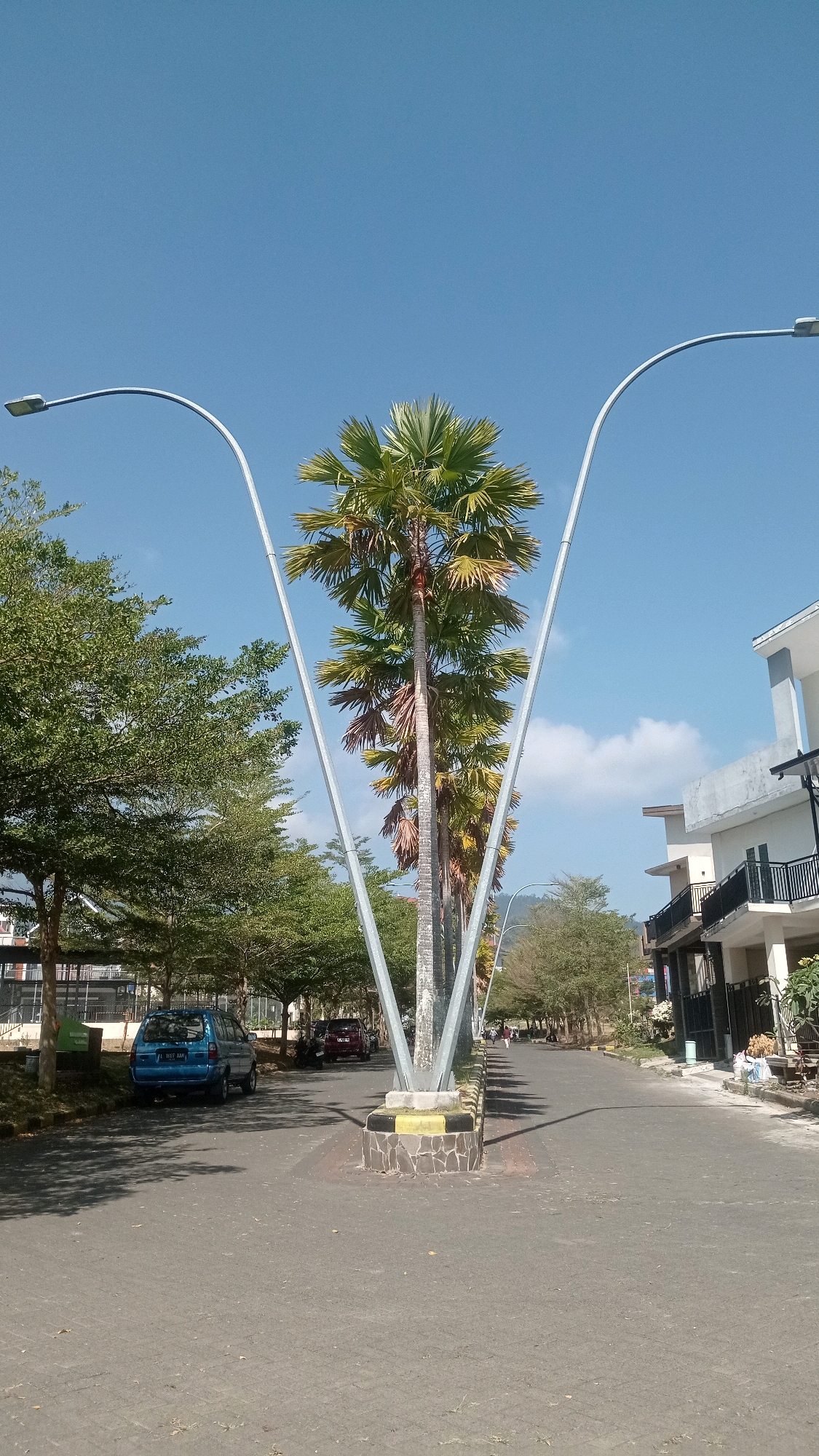 The image captures a street scene in Batu, Indonesia, characterized by a clear blue sky with scattered clouds. In the foreground, a paved road is flanked by a sidewalk lined with palm trees and other trees. Two distinctive, V-shaped lampposts with modern fixtures stand prominently near the center of the frame, framing a tall palm tree and a row of smaller palm trees behind it. A blue minivan is parked on the left side of the road, facing away from the viewer. Further down the road, several other vehicles, including cars and motorcycles, are visible. On the right side of the road, a two-story building with a white facade and black balconies stands adjacent to a fence. The overall environment suggests a well-maintained urban or semi-urban area with a tropical or subtropical climate, indicated by the presence of palm trees and the bright sunlight casting shadows on the ground. The scene appears calm and undisturbed, with a few individuals walking in the distance on the right side of the road.