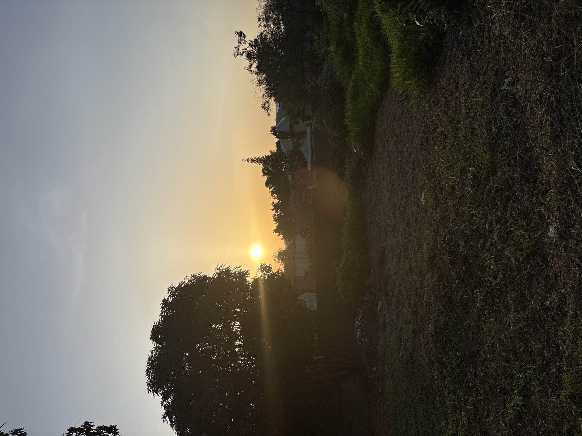 A serene sunset scene unfolds in Jos, Nigeria. The sun, a bright orb, is partially obscured by the silhouette of a large tree on the left, casting a warm glow across the sky. The sky transitions from a pale blue at the top to a soft orange near the horizon. In the background, several buildings are visible, including a tall, pointed-roof structure and other residential buildings nestled among trees. The foreground features a patch of dry, mowed grass, bordered by lush green grass on the right. Scattered debris is present in the dry grass area. The overall impression is one of tranquility at the end of the day.