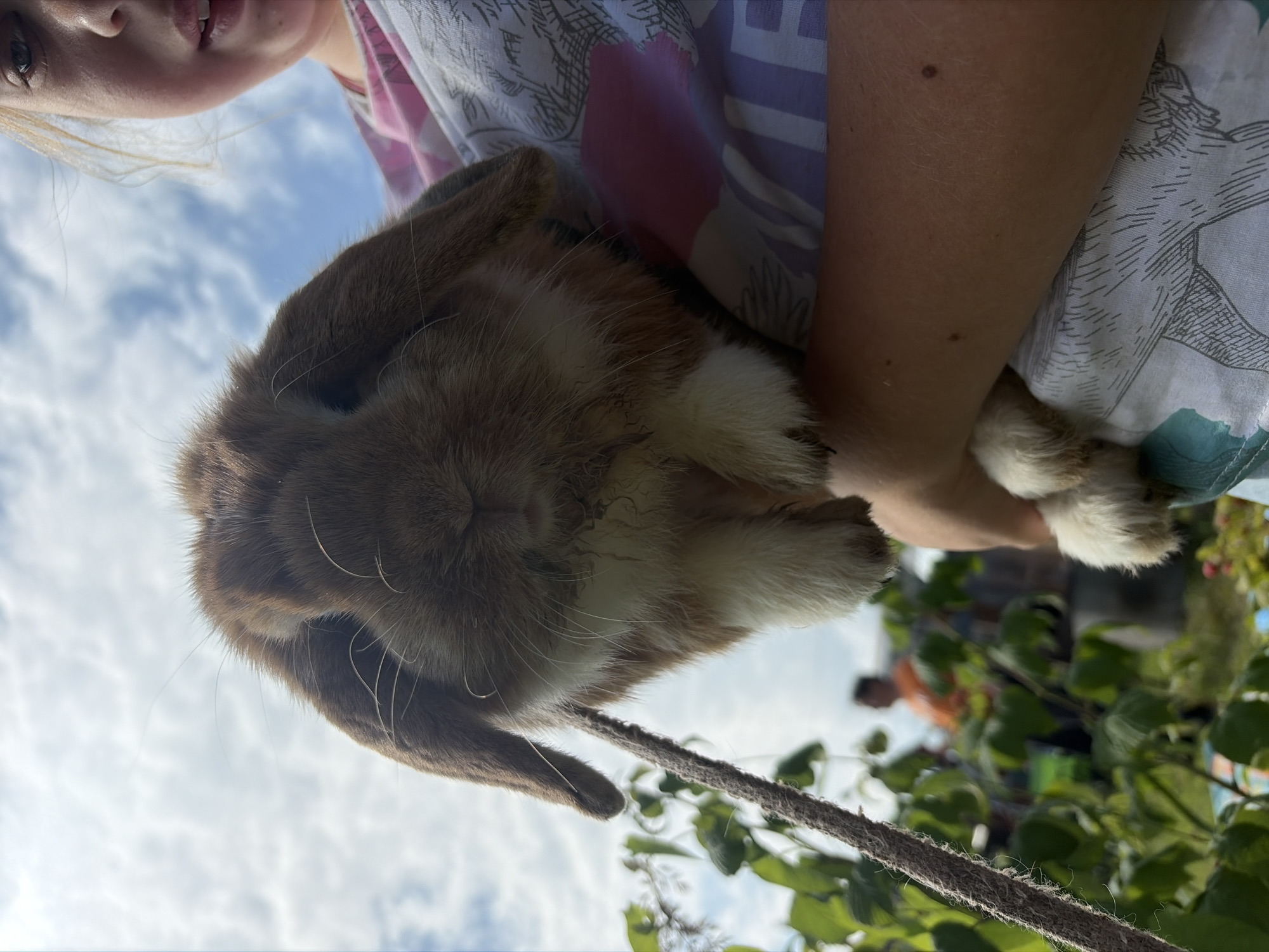 A young person is holding a brown and white lop-eared rabbit outdoors. The person's right arm is visible, and they are wearing a light-colored shirt with a pattern. The rabbit is facing forward, with its ears down and its nose slightly dirty. A rope or string is visible to the left of the rabbit, possibly attached to a harness. In the background, there are green plants and foliage, and further back, a person wearing an orange shirt and another person are visible, out of focus. The sky above is cloudy. The overall scene suggests an outdoor gathering or casual activity in a suburban or rural setting. This image was taken in Prikamskii, Russia.
