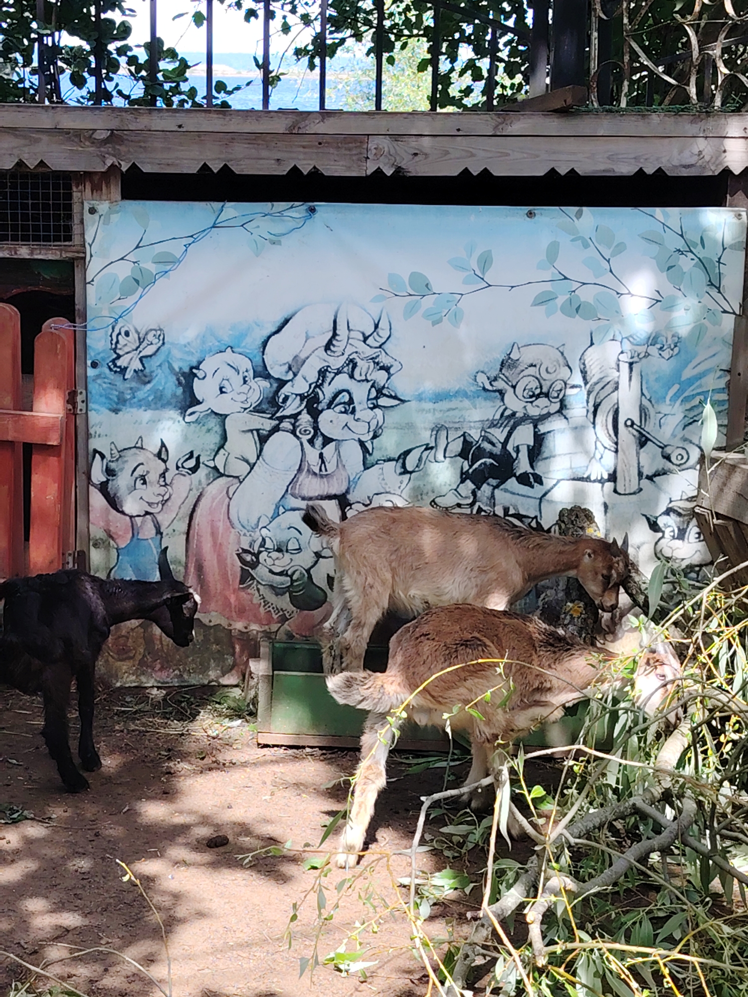 The image captures an outdoor scene at what appears to be an animal enclosure or petting zoo in Chaikovsky, Russia, during daytime. The weather is sunny, casting dappled shadows on the ground.
The central feature is a wooden structure with a playful mural painted on its side, depicting anthropomorphic goat characters in a light blue, leafy setting. On the left, a goat character in blue overalls smiles. In the center, a female goat character in a pink dress holds a baby goat, with another peeking from behind. To the right, a goat character wearing glasses sits by a well or fountain. Painted branches and a butterfly add to the whimsical theme. Above this structure, a wooden overhang with a sawtooth edge is visible, and beyond a metal fence, a body of water and distant land or hills can be seen.
In the foreground and midground, three real goats are present. A dark brown or black goat stands on the left, facing right. Two lighter brown or tan goats are actively feeding on a pile of leafy branches on the right side of the frame. These goats appear to be young, possibly kids, and have small horns. The ground is dirt, with scattered leaves, branches, and some animal droppings. A red wooden fence or gate is visible on the far left.
No visible text is discernible in the image. The scene conveys a peaceful and lively atmosphere, with the real animals interacting with their environment against the backdrop of a charming painted fantasy.
