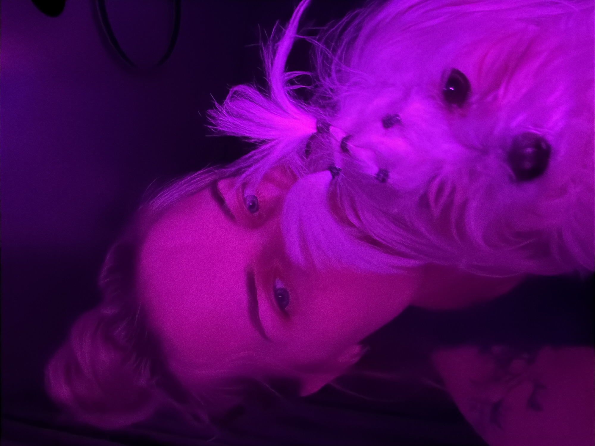 The image captures a close-up, tilted portrait of a person and a small, fluffy dog, bathed entirely in vibrant magenta and purple light. The person, appearing to be a woman, has light-colored hair, some of which is pulled back in a bun, and light-colored eyes that are looking forward. Her face, visible from the cheekbone to the chin, is illuminated by the intense purple hue.
Next to and slightly above the person's face is the head of a small, white-furred dog, possibly a Maltese, whose fur glows brightly under the magenta lighting. The dog has dark, round eyes and appears to be looking in a similar direction as the person, with its nose close to the person's head. Strands of the person's hair, also glowing magenta, are visible around the dog's face.
The background is predominantly dark purple or black, suggesting an indoor setting with artificial lighting, possibly at night. The strong, monochromatic color scheme dominates the entire frame, casting the subjects in deep fuchsia and violet tones. The image captures an intimate moment between the person and the dog, though no specific activity other than their close proximity is discernible. No visible text, specific location cues within the image, or weather details can be identified. The location context provided is Chaikovsky, Russia.