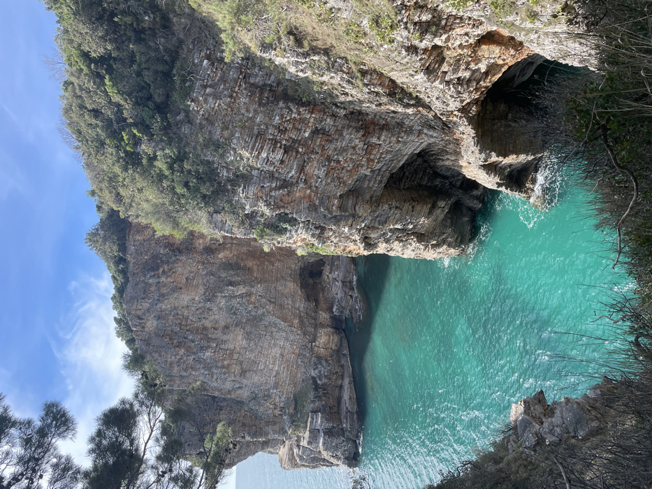 The image displays a rugged coastal landscape in Budva, Montenegro, characterized by prominent stratified limestone cliffs descending steeply into the turquoise Adriatic Sea. The cliffs exhibit distinct horizontal layering and variations in color, ranging from grey to reddish-brown, with eroded sections forming multiple sea caves and grottoes at sea level. The water is a vibrant, translucent turquoise, showing minor surface ripples under direct sunlight. Dense green Mediterranean vegetation, consisting of shrubs and trees, covers the upper ledges and plateaus of the cliffs. Sparse, dry vegetation is visible along the immediate foreground cliff edge, with dark green pine branches partially obscuring the upper left. The sky above is clear blue with minimal, wispy white clouds. No human subjects, structures, or vessels are present within the captured scene.