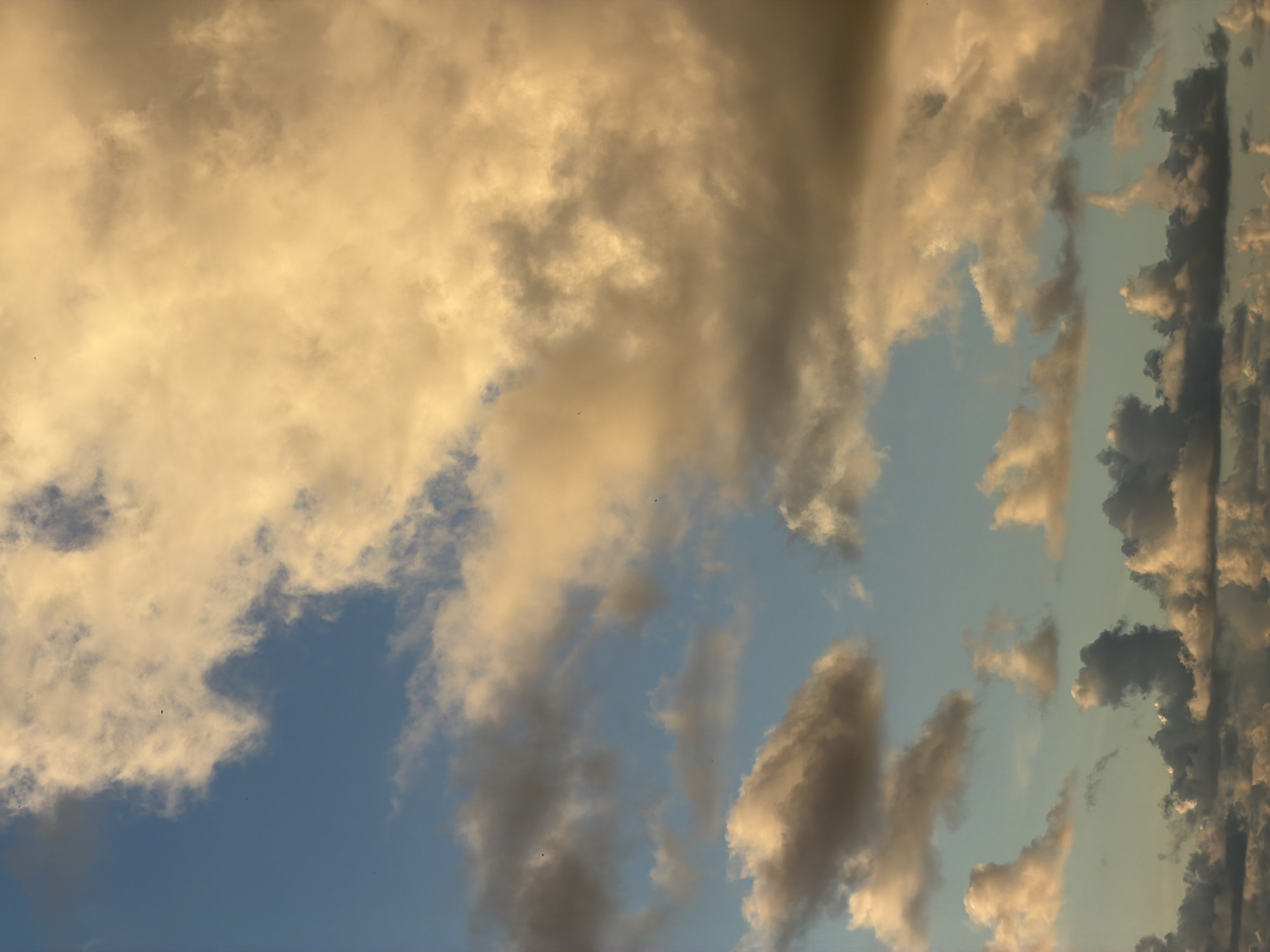 The image displays a vertical composition of a dynamic cloudy sky, devoid of any visible ground features. The upper right and central-right portions of the frame are dominated by large, dense clouds, heavily illuminated by warm, golden-orange light, indicative of either sunrise or sunset. These clouds transition to darker grey and shadowed tones towards their undersides and the lower half of the frame. Patches of clear, medium-blue sky are visible in the upper left and central-left areas. Smaller, scattered cumulus clouds are present across the mid-ground and lower-ground, some catching the warm light, others appearing grey and shadowed. Multiple small, dark specks, consistent with birds in flight, are discernable against the blue sky and lighter cloud sections in various parts of the image. The scene is located in the city of Tel-Aviv, Israel.