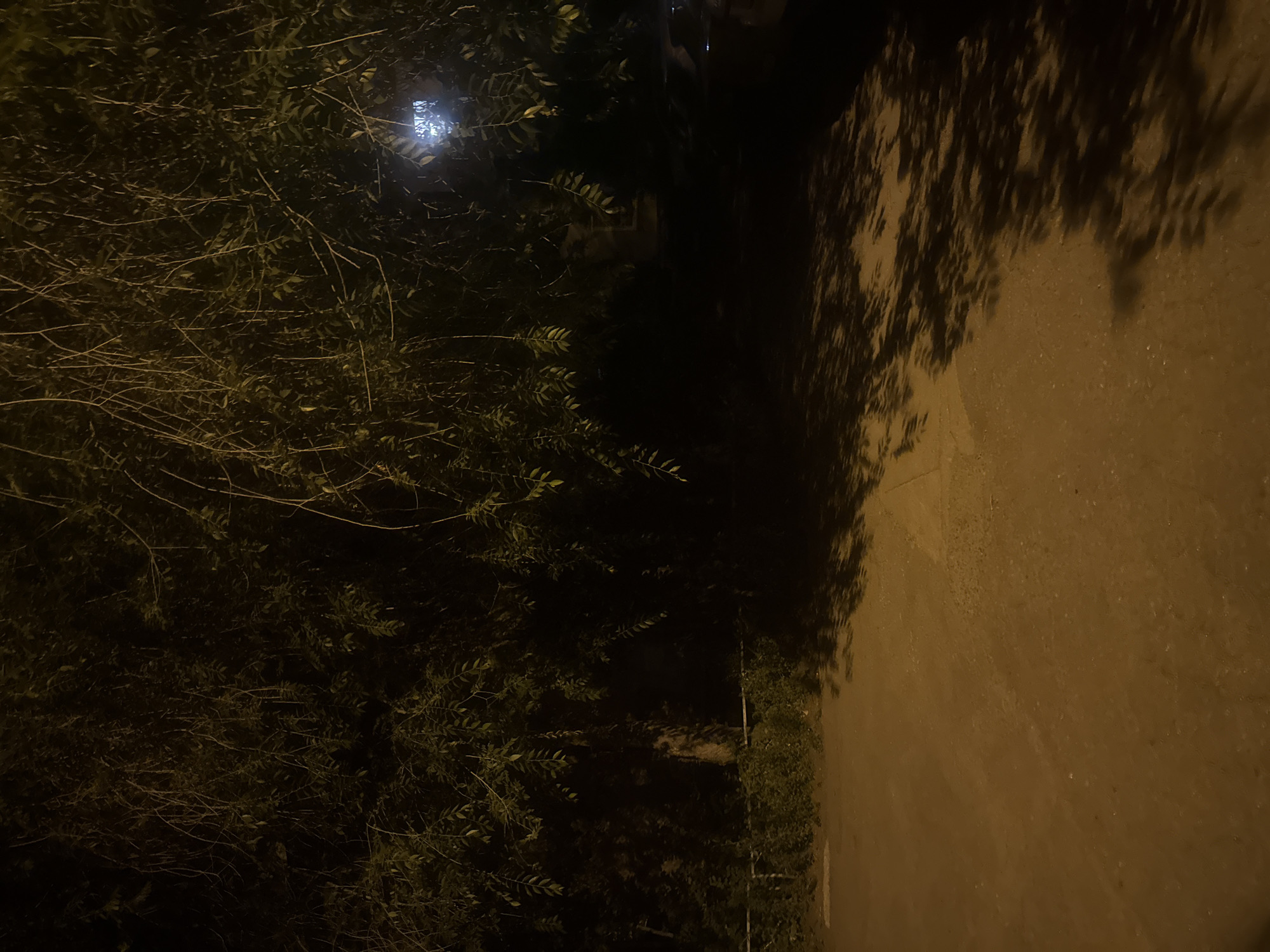The image depicts an outdoor scene at night. Overhanging tree branches with leaves dominate the upper portion of the frame, casting shadows on the ground below. The ground appears to be a mix of dirt and gravel, with some areas illuminated by artificial light, creating a dappled effect. In the background, there is dense foliage and darkness, with a faint glow suggesting a distant light source, possibly a street lamp or window. The overall impression is one of a dimly lit, natural environment, likely in a park or along a street. The location is identified as the city of Magnitogorsk, Russia. No people or specific actions are visible in the image.