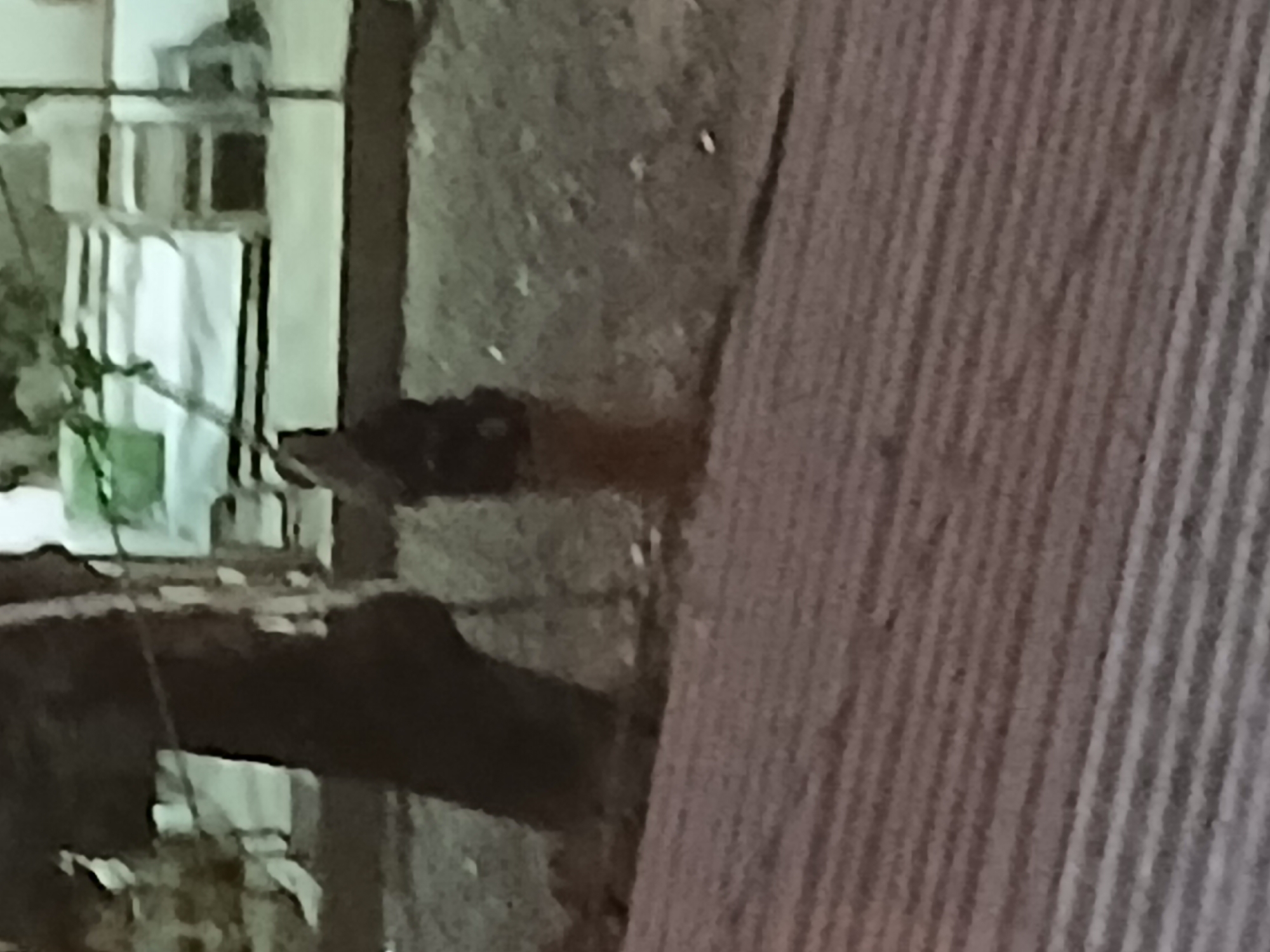 The image depicts an outdoor scene with a person standing near a tree trunk. The person appears to be wearing dark clothing and is facing away from the camera. In the background, there are some structures that suggest an urban or semi-urban environment, possibly with stalls or makeshift shelters. The ground in the foreground is covered with a ribbed texture, which could be a surface like a corrugated metal sheet or a textured mat. The overall image is blurry and grainy, making it difficult to discern fine details. The specific location in Tenggarang, Indonesia, cannot be determined from the visual information alone.