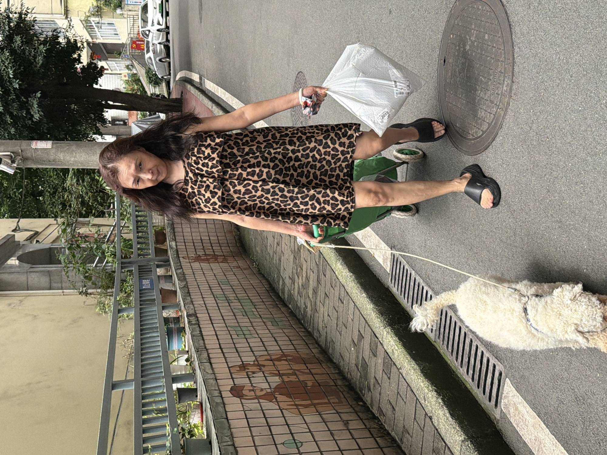 An Asian woman with long, dark, wavy hair walks on a paved city street, holding a white plastic bag in her right hand and the handle of a green wheeled shopping cart with her left. She wears a sleeveless, leopard-print dress and black slides. A fluffy white dog on a leash walks ahead of her on the street. The woman is looking directly at the camera with a neutral expression. To the left of the street is a low tiled wall with a mural depicting two figures and a railing with potted plants behind it. To the right of the street, a tree grows near a building, and cars are parked along the curb. The scene appears to be in a residential area of Yuzhong District, China, indicated by the architecture and street features.