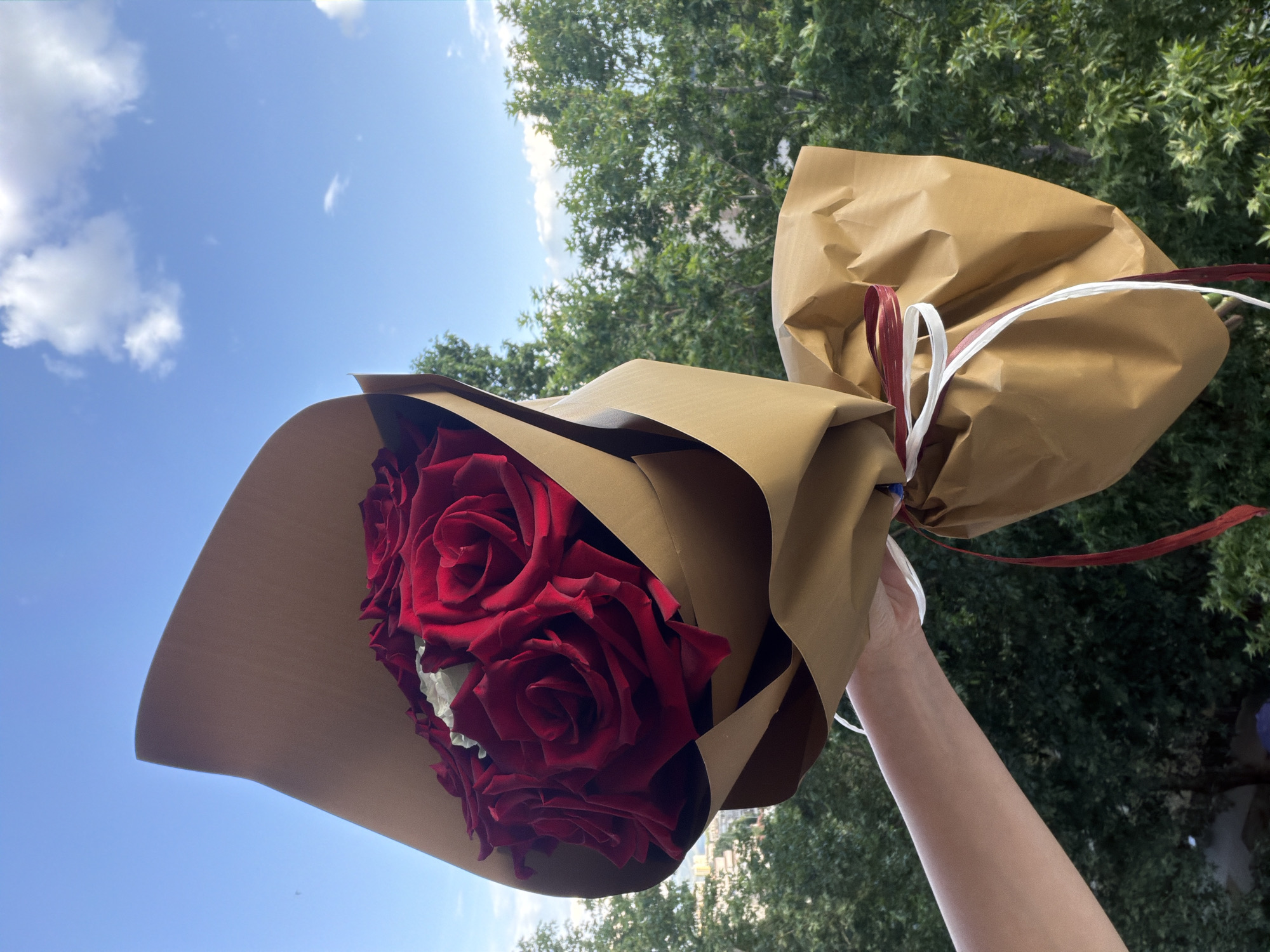 The image displays a person's arm holding a bouquet of red roses wrapped in brown paper, positioned against a bright blue sky with green trees. The primary subject is the bouquet, featuring numerous deep red roses arranged densely, with a hint of lighter-colored flowers nestled among them. The bouquet is securely wrapped in light brown kraft paper, tied with several decorative ribbons in white and a deep red/maroon color.
The person's forearm and hand are visible, extending upwards from the lower right corner, holding the bouquet aloft. The background is dominated by a clear, bright blue sky with scattered white clouds, particularly on the left side. Beneath the sky, in the mid-ground and to the right, a dense canopy of green tree leaves is visible, indicating an outdoor setting with ample vegetation.
The scene appears to take place during daytime under sunny conditions, given the vibrant blue sky and bright lighting on the bouquet and arm. The overall atmosphere suggests a moment of gifting, celebration, or appreciation. The location context is Pazardzhik, Bulgaria. No visible text is present in the image.