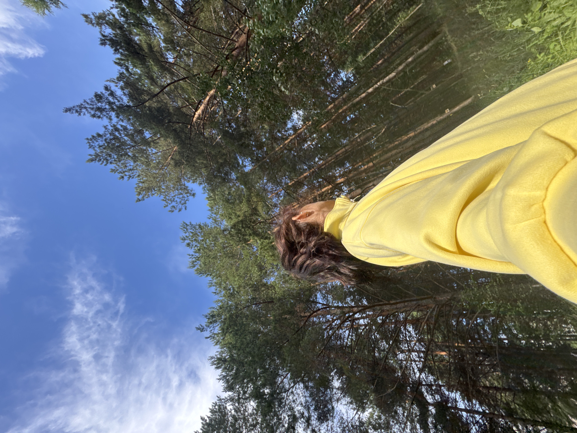 A low-angle, wide shot captures a person in a bright yellow hoodie looking up at a dense forest and a clear blue sky with wispy clouds. The person's back is to the camera, and only their shoulder and the back of their head are visible. Their dark, curly hair is visible. The trees are tall pines, with thick green foliage. The ground is covered in green grass and some scattered small yellow flowers. The scene is set in a forest clearing with sunlight filtering through the trees. This location is likely the Votkinskoye Reservoir area, near Chaikovsky, Russia, a popular spot for outdoor recreation.