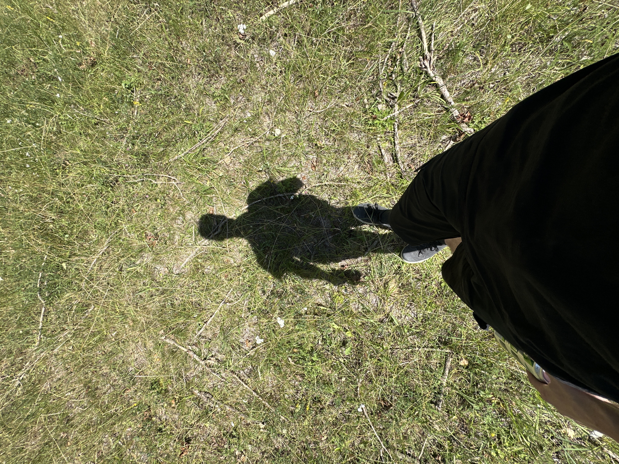 An overhead shot shows a person standing in a grassy field, their shadow cast before them. The person is wearing dark pants and dark sneakers. They are holding a beverage can in their left hand. The ground is covered in dry grass and small twigs. The location is the city of Makiv, Ukraine.