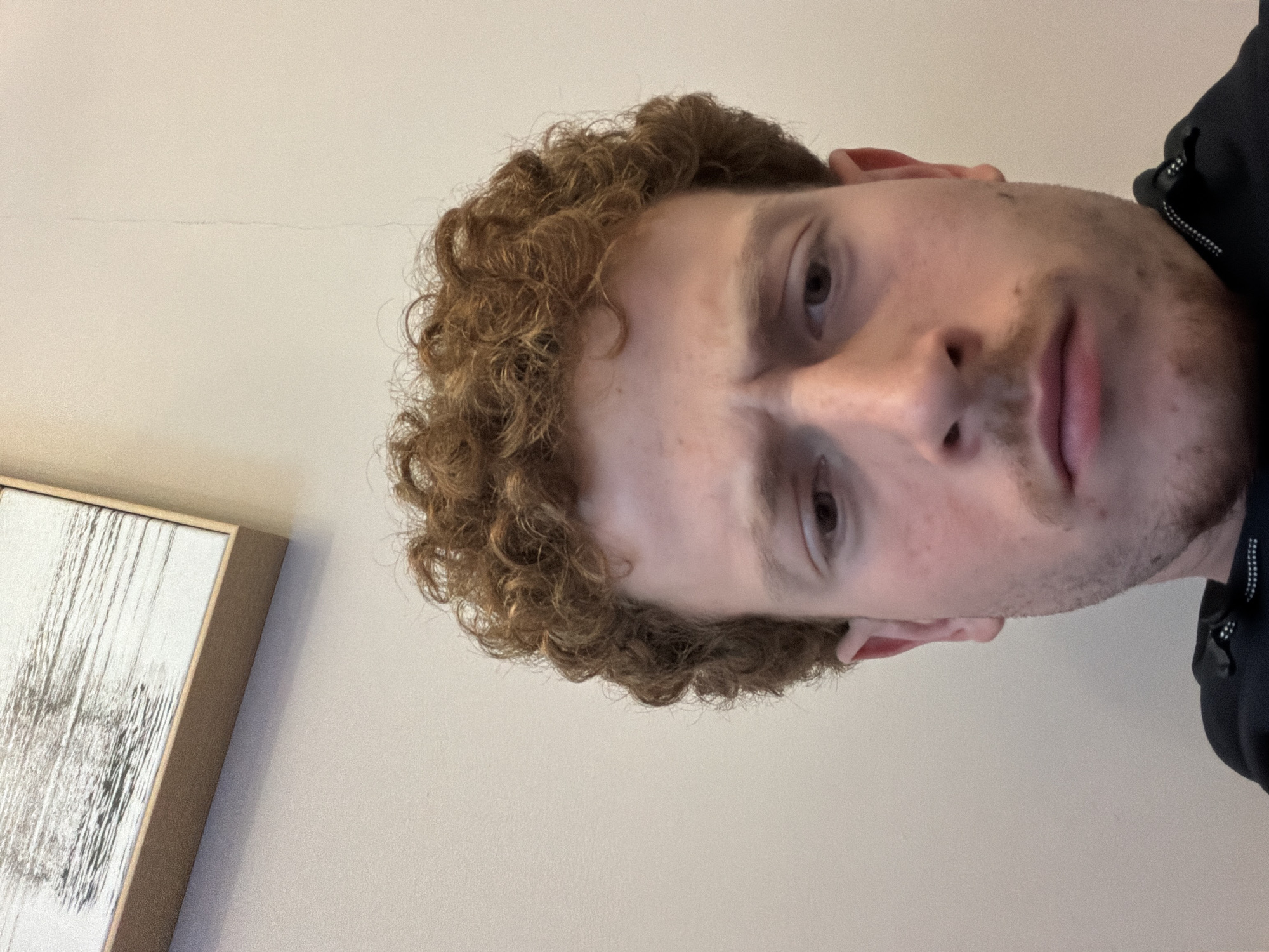 A close-up, slightly tilted, selfie-style photograph shows a Caucasian male with curly brown hair, light skin, and light-colored eyes. He has a mustache and some stubble. He is wearing a black jacket with a visible zipper. The background is a pale beige wall. A framed piece of artwork is visible in the lower left corner of the image. No indication of New York City is visible in the image.