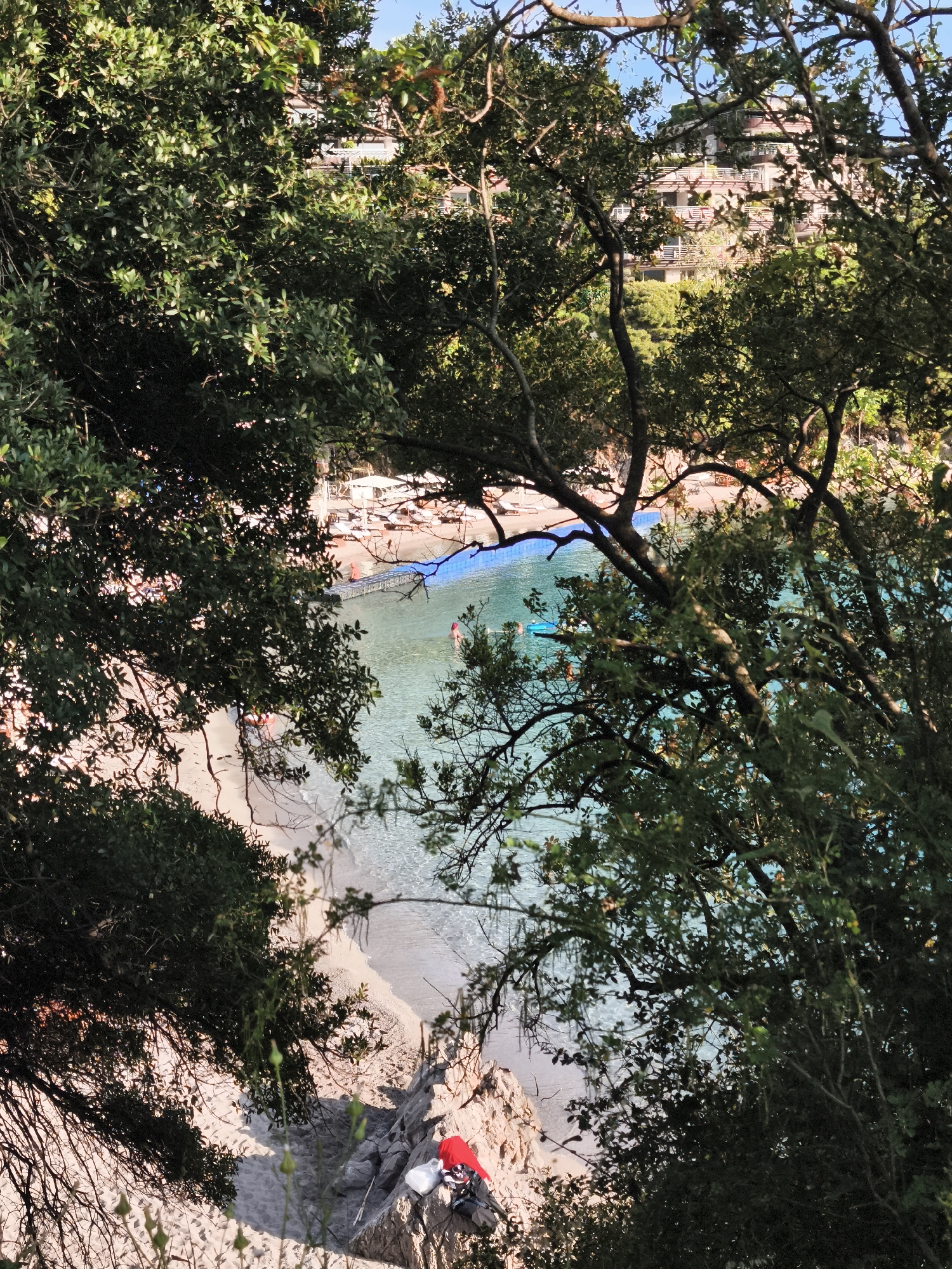 The image captures a vibrant coastal scene, viewed from an elevated position through a dense canopy of green trees. The setting is a small, picturesque cove in Budva, Montenegro, characterized by clear turquoise waters and a light-colored sandy and pebbled beach.
In the foreground, lush green foliage frames the scene, with branches extending into the top, left, and right sides of the frame. Through this natural archway, the focus is on the beach and the sea. The water is exceptionally clear, allowing the sandy bottom to be visible, especially near the shore. A blue floating platform or pontoon stretches across a section of the water, and several individuals are seen swimming or wading in the sea. One person with a prominent red swimming cap is clearly visible in the water.
The beach itself is populated with numerous beachgoers, sun loungers, and umbrellas, suggesting a leisurely day. In the upper background, multi-story buildings with terraces and balconies are nestled into a verdant hillside, overlooking the cove, likely a hotel or residential complex.
At the bottom right, a rocky outcrop descends towards the beach, where a red item, possibly a backpack or towel, and a white plastic bag are placed. The overall impression is one of a bright, sunny day, with strong sunlight illuminating the water and beach, implying good weather for a relaxing seaside activity. There is no visible text in the image.