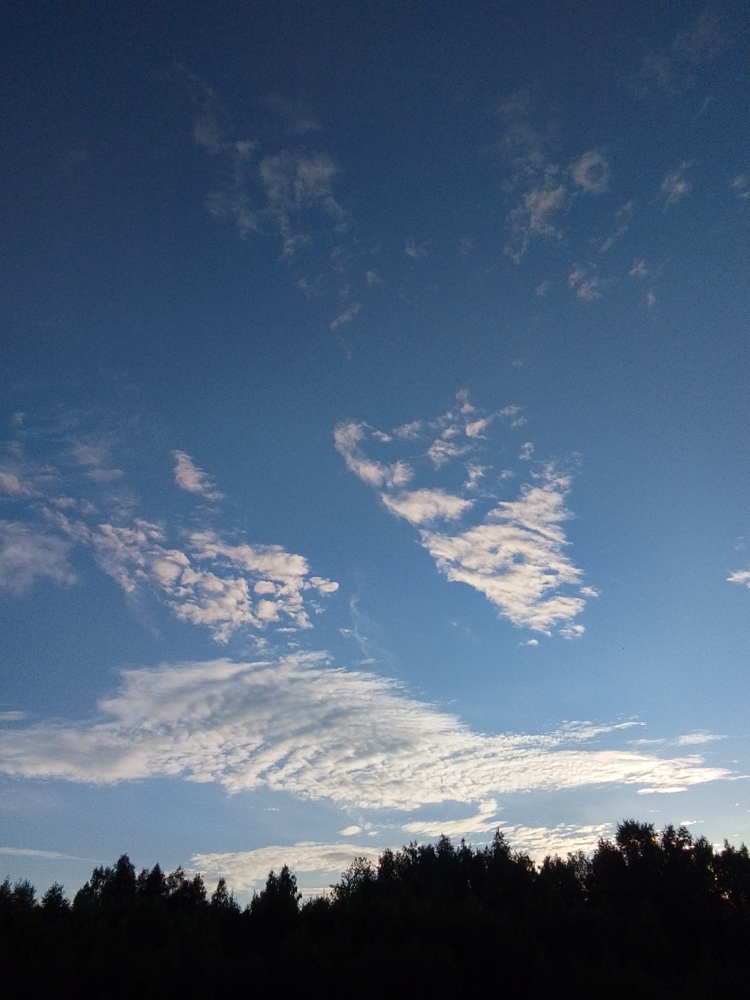 The image shows a dark silhouette of a treeline against a pale blue sky at dusk. Wispy white clouds are scattered across the sky, some appearing more dense and textured than others. The sun is low on the horizon, casting a soft light that illuminates the clouds from below. The trees are densely packed and appear to be evergreen. The scene evokes a sense of peace and tranquility, characteristic of the end of the day. No people or objects are visible in the foreground. The location context is Снопок Новый, Russia, which suggests a rural or natural setting. The time of day is clearly evening, as indicated by the low sun and darkening landscape. The weather appears clear apart from the scattered clouds. There is no visible text in the image.