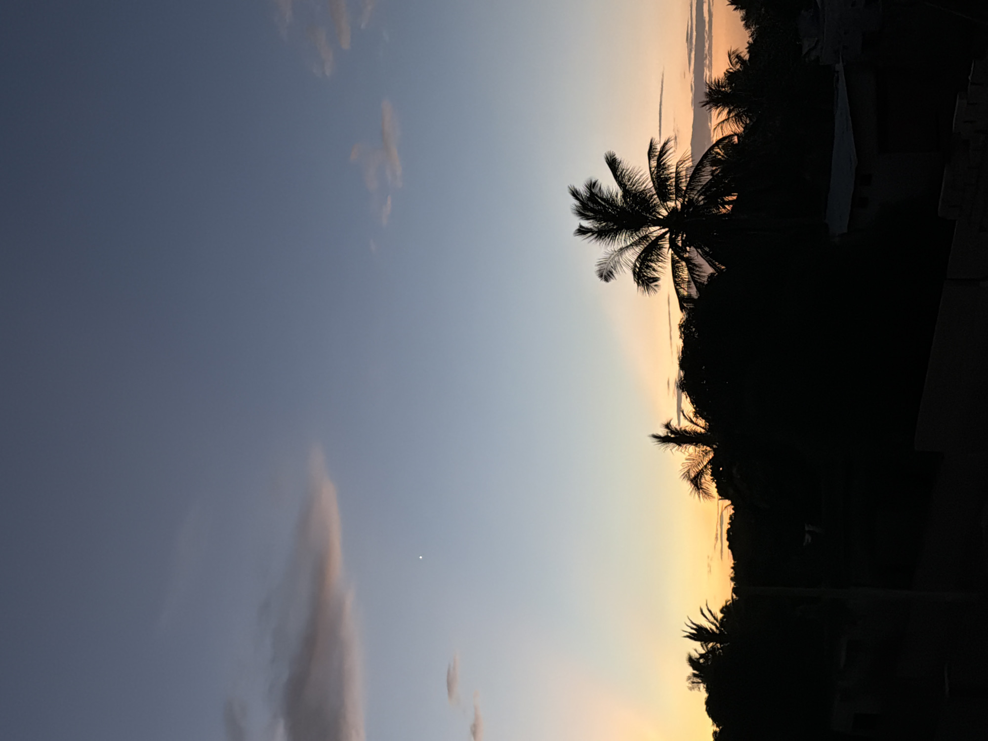 The image depicts a twilight scene. A palm tree silhouette is prominent against a gradient sky transitioning from blue to orange. Other silhouetted trees and rooftops are visible to the right of the palm. Small clouds are scattered across the sky. A faint, singular light source is noticeable amidst the clouds on the left side of the image. Location: Unknown, Unknown.