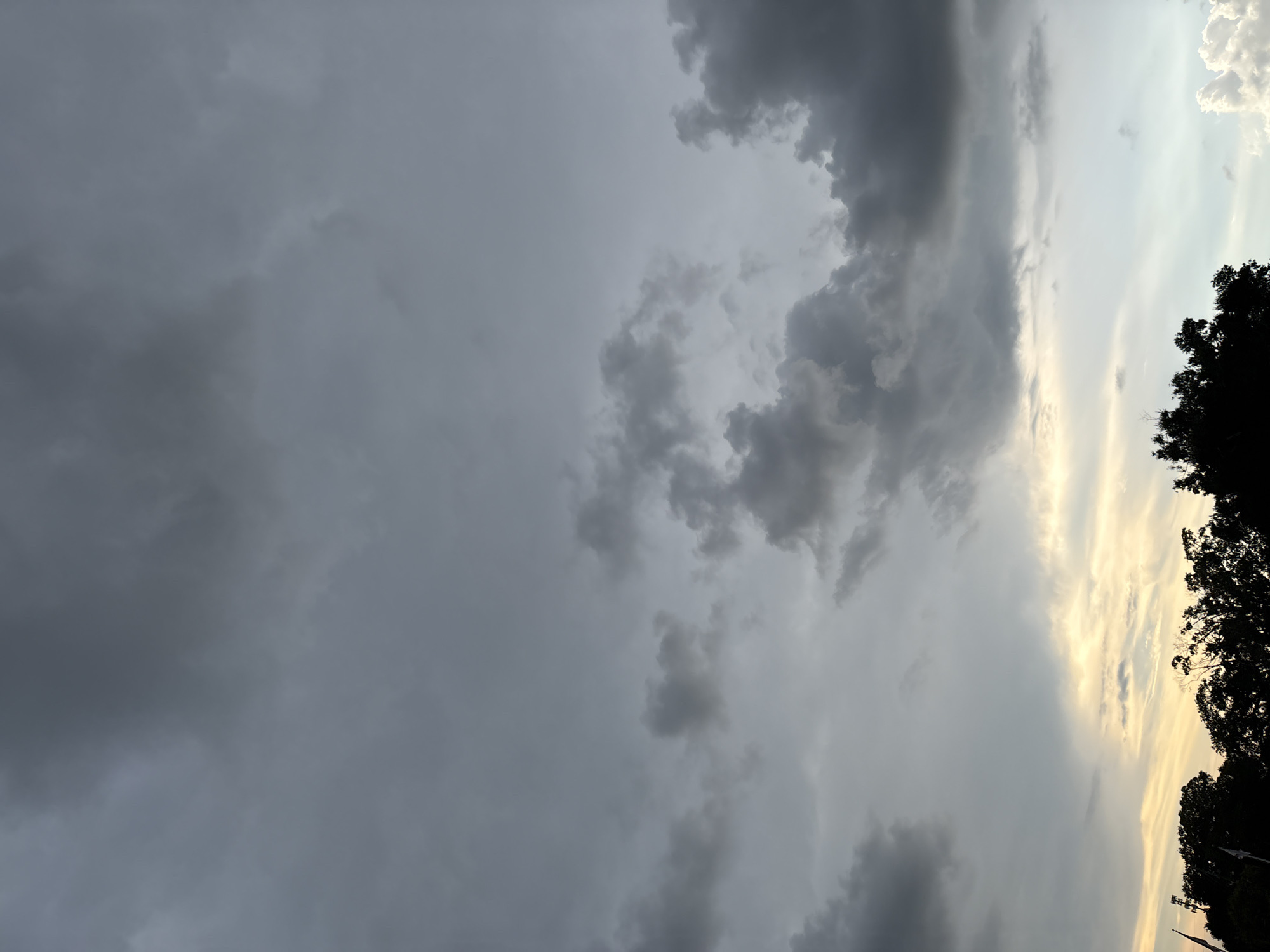 A wide shot captures a dramatic sky filled with dark, heavy clouds, suggesting an impending storm. The clouds are a mix of deep grays and lighter, wispy formations, with a sliver of yellow light peeking through near the horizon. Silhouetted against this turbulent sky are the dark, dense tops of trees, characteristic of natural landscapes or parks found within Bradenton, Florida. The overall impression is one of atmospheric intensity and the anticipation of rain.