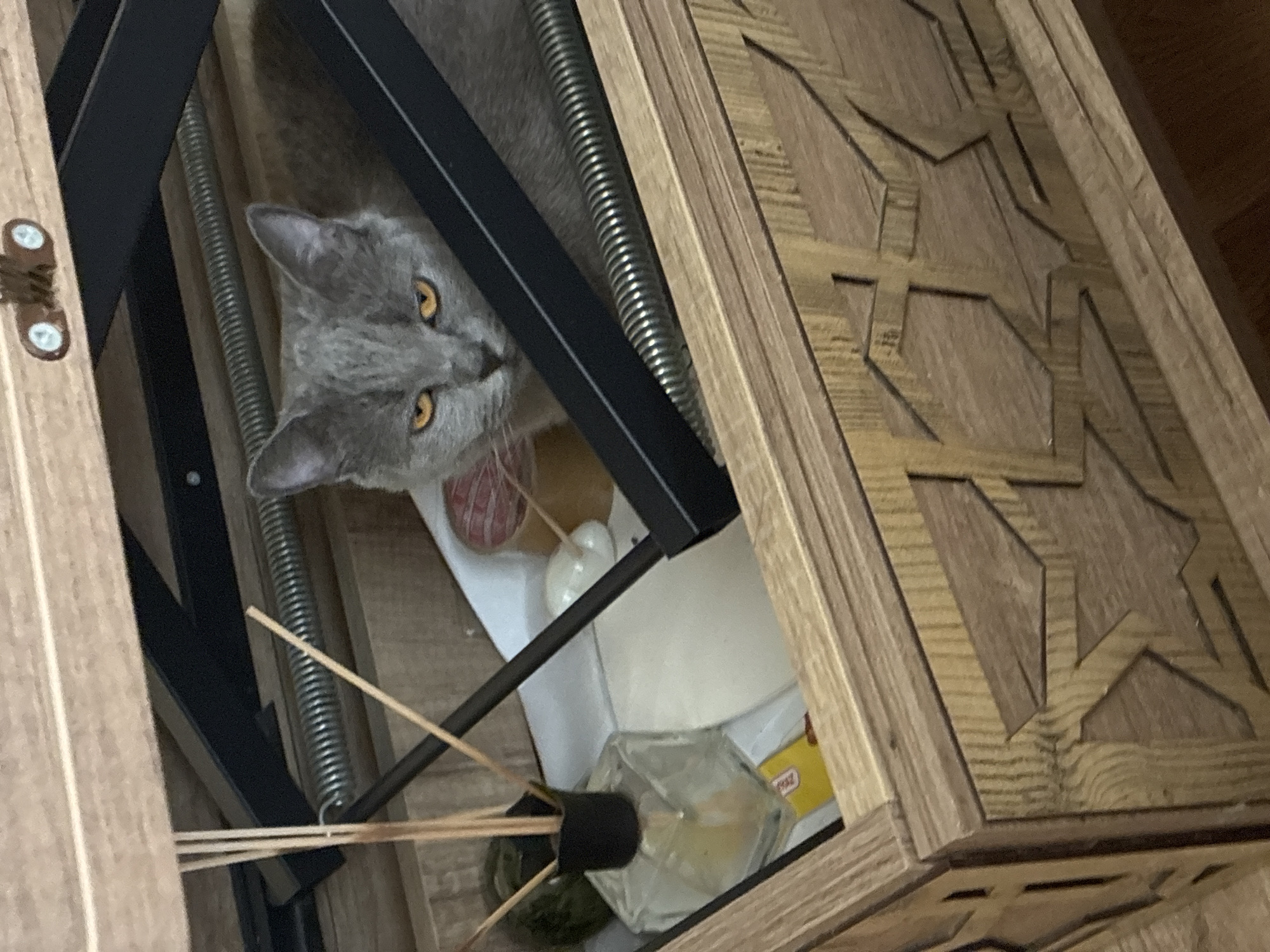 A grey British Shorthair cat with bright orange eyes peers out from under a wooden table mechanism. The cat is positioned in the center of the frame, with its head and shoulders visible. The background shows a wooden box with an intricate star pattern carved into its sides. Inside the box, to the left of the cat, is a glass diffuser with several reeds. A yellow packet and a white cushion-like object are also visible. The scene appears to be indoors, possibly in a home, in Alanya, Turkey.