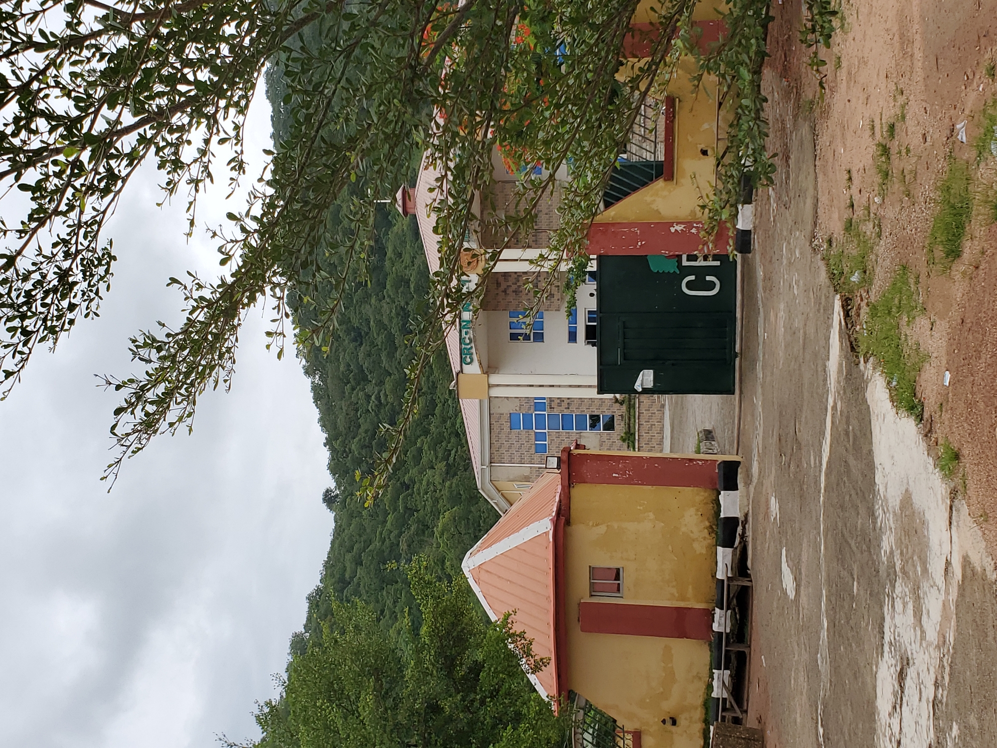 The image captures an outdoor scene in Mararaba, Nigeria, featuring buildings set against a backdrop of lush green hills under an overcast sky. The shot is framed by the branches and leaves of a tree in the foreground.
In the middle ground, two distinct buildings are visible. To the right, a smaller, older-looking building has yellow walls with red trim and a red corrugated metal roof. A small rectangular window with a red frame is visible on its side. Adjacent to it, there's a structure with black and white stripes, possibly a pillar or barrier.
Further back and slightly to the left, a larger building appears. Its facade features light-colored walls and sections with a brick-patterned design. A prominent feature of this building is a series of blue-tinted windows, some arranged to form a cross shape. On the facade of this building, the word "CRESCENT" is partially visible. A large dark green gate or door stands in front of this building, with the white letters "CH" clearly printed on it, suggesting "Crescent Church."
The background is dominated by a densely forested green hill, indicating a natural, hilly landscape. The ground in the foreground and between the buildings is an unpaved, reddish-brown dirt path with some patches of grass and debris. The sky is uniformly gray and cloudy, suggesting an overcast day. There is no discernible human activity or specific event taking place, presenting a static view of the architectural and natural environment.