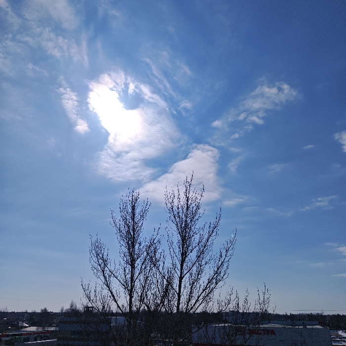 The scene depicts an outdoor cityscape in Rostov Veliky, Russia, under a clear, bright blue sky with scattered white clouds. The sun is visible in the upper left quadrant, appearing as an intense, overexposed white light surrounded by wispy cirrus-like cloud formations. In the foreground and mid-ground, two prominent, bare deciduous trees stand silhouetted against the bright sky, displaying intricate, leafless branches that reach upwards. Below these trees, an urban landscape is visible. On the right side, a white building with a dark roof features the Cyrillic inscription "АСТРА" (ASTRA) on its facade, partially obscured by the tree branches. Further in the background, a flat horizon line reveals additional distant structures, and faint patches of snow are discernible on the ground in some areas. No individuals, specific actions, or interactions are present. The overall lighting indicates clear daylight conditions.