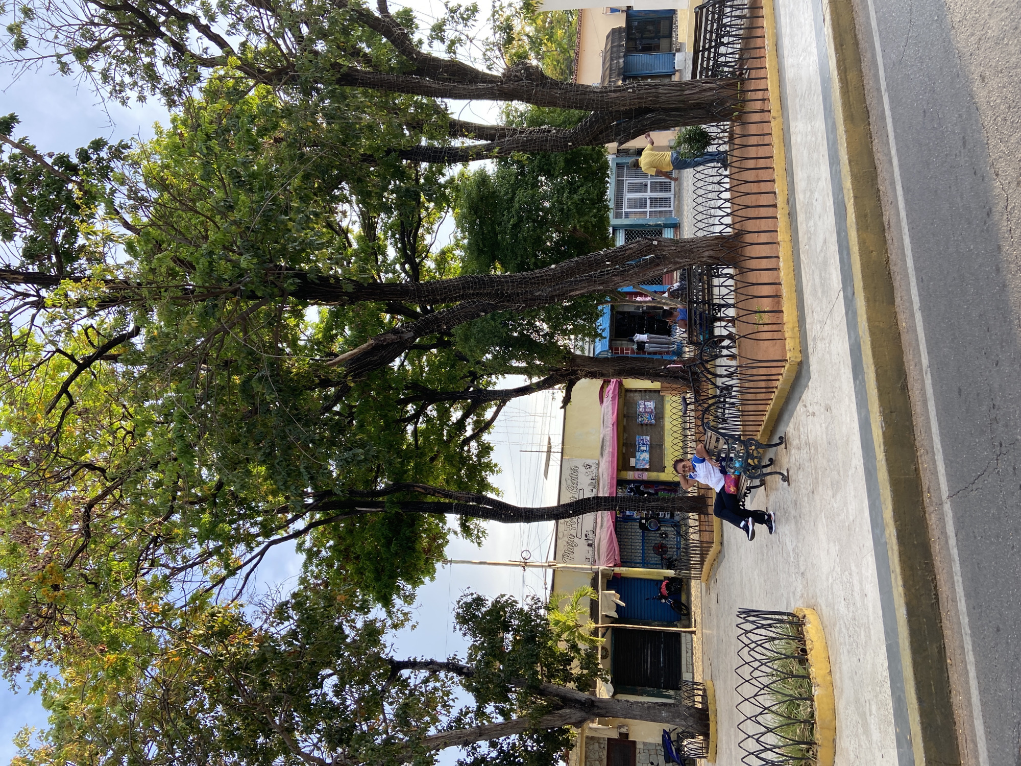 A photograph captures a street scene in Juan Griego, Venezuela. The image is composed of a park or plaza area with mature trees providing shade along the sidewalk, a street, and storefronts on the far side. A wrought-iron fence separates the sidewalk from the plaza area with small planters and benches spaced along it. A person wearing a white shirt and dark pants is sitting on one of the benches. In the background, shops are visible under awnings or in open storefronts. A yellow painted building is visible further back. Trees dominate the left side of the image, while the sidewalk and street with a yellow curb are on the right. Overhead powerlines traverse the scene. A man wearing a yellow shirt is seen on the sidewalk, appearing to either be working or talking to someone behind the fence.