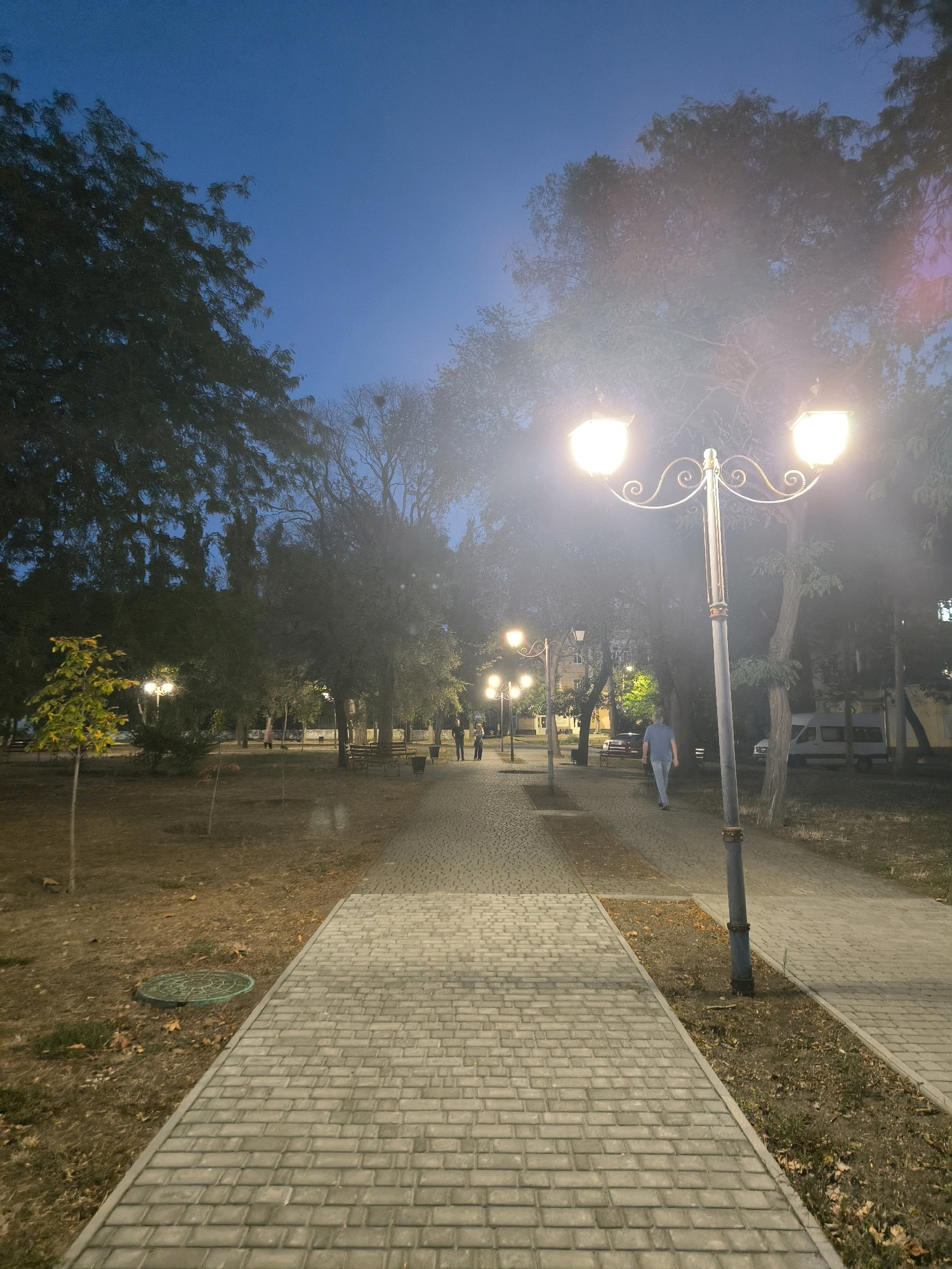 The image depicts a park pathway illuminated by lampposts at dusk. The pathway is paved with light-colored rectangular bricks, bordered by a strip of dry grass and fallen leaves. Several trees with dark foliage line the pathway, and some have visible branches with no leaves. A double-headed lamppost stands prominently in the foreground, its lights casting a warm glow. In the background, other lampposts and trees are visible, along with a few people walking along the path. One man in a blue shirt and jeans is walking away from the camera. The sky is a deep blue, indicating twilight. The scene appears to be in a public park, possibly in Mykolaiv, Ukraine, given the context of the request. The overall atmosphere is serene and quiet.