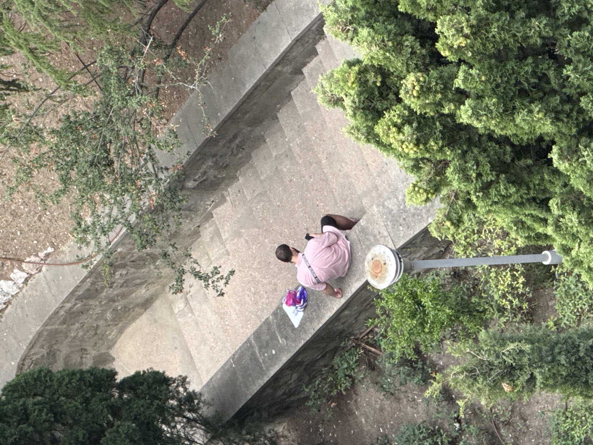 An elevated, medium shot captures a person seated on the edge of a stone retaining wall next to a concrete staircase in Yalta, Ukraine. The individual, facing away from the camera and towards the descending stairs, is wearing a pink t-shirt with dark lettering on the back and black shorts. They are holding a dark-colored smartphone in their right hand. To the left of the person, on the retaining wall, rests a folded white piece of paper, a bright pink purse, and a purple object. The staircase appears to be made of concrete and is flanked by stone walls. Surrounding the staircase and wall are various types of vegetation, including mature trees with dark green foliage on the left and denser, lighter green bushes and trees with small green fruit on the right. A grey street lamp with a rusted top stands in the foreground to the right of the staircase. The ground around the vegetation is covered in loose soil and fallen leaves. The scene suggests an outdoor public space, possibly a park or a residential area, in Yalta.
