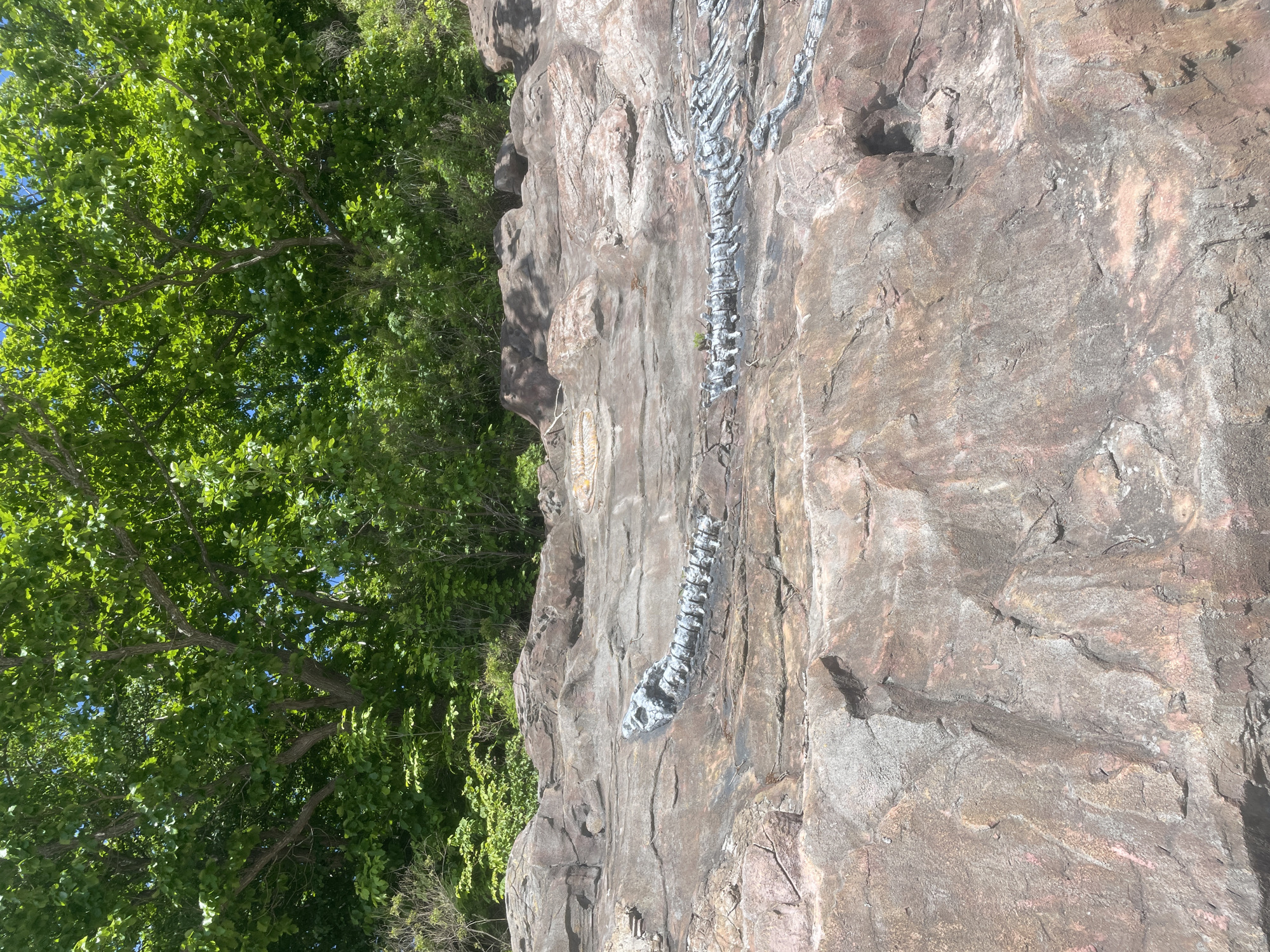 The image depicts a fossilized dinosaur skeleton embedded in rocky terrain. The skeleton, primarily a greyish-white color, consists of a visible spine and ribs, suggesting a long, serpentine creature. The rocks surrounding the fossil are a mix of reddish-brown and grey hues, exhibiting a layered, textured appearance. Above the rocky outcrop, lush green foliage and trees create a dense canopy, indicating an outdoor environment with abundant vegetation. The sunlight suggests it is daytime. The context provided identifies the location as Russky, Russia.