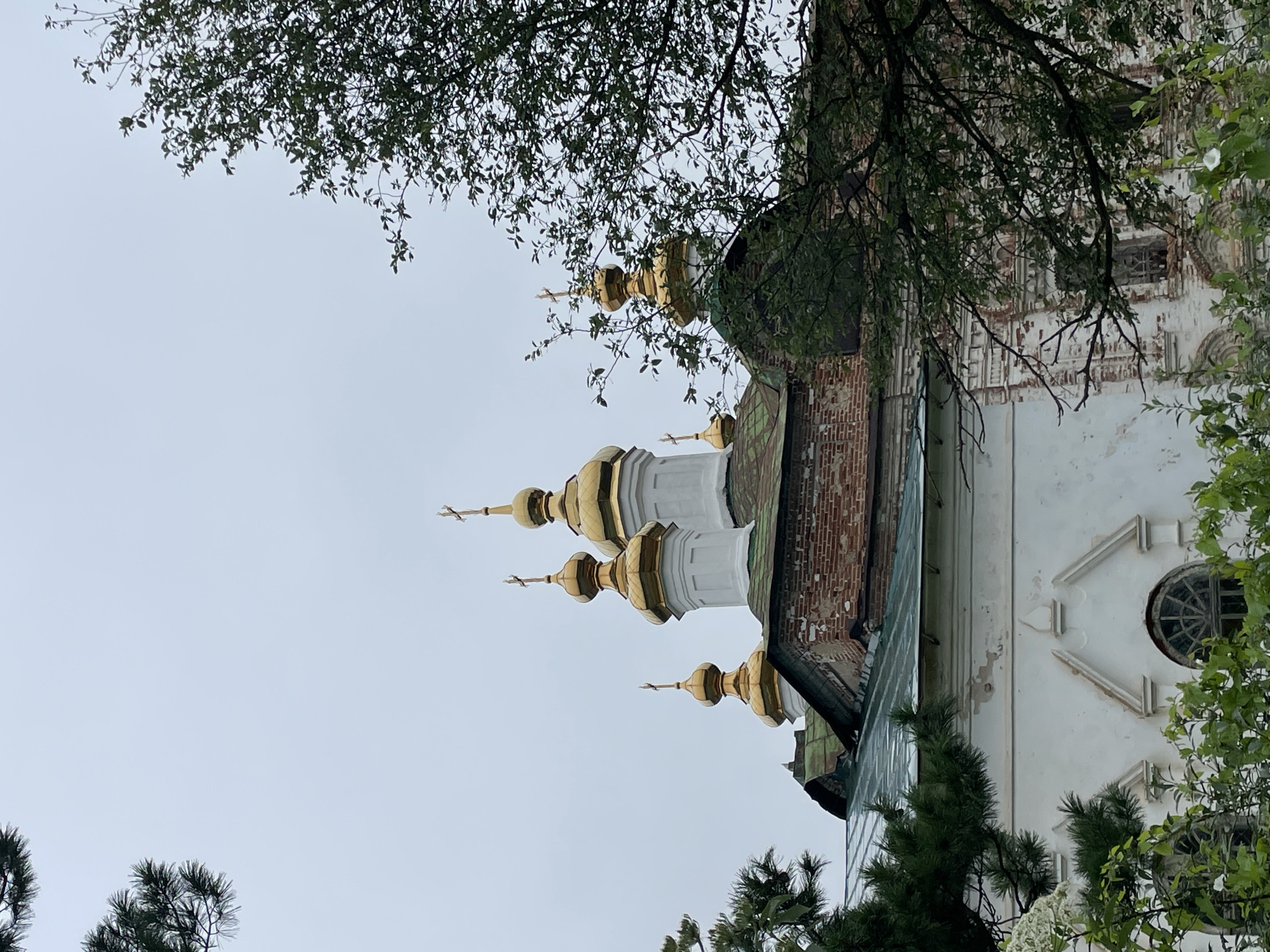 The image shows a view of the domes of a Russian Orthodox church, likely in the city of Kstinino, Russia. The domes are gilded and topped with crosses. The church appears to be made of brick and has white architectural elements. Lush green foliage from trees in the foreground partially obscures the view of the church, suggesting an outdoor setting. The sky is overcast and a pale grey.