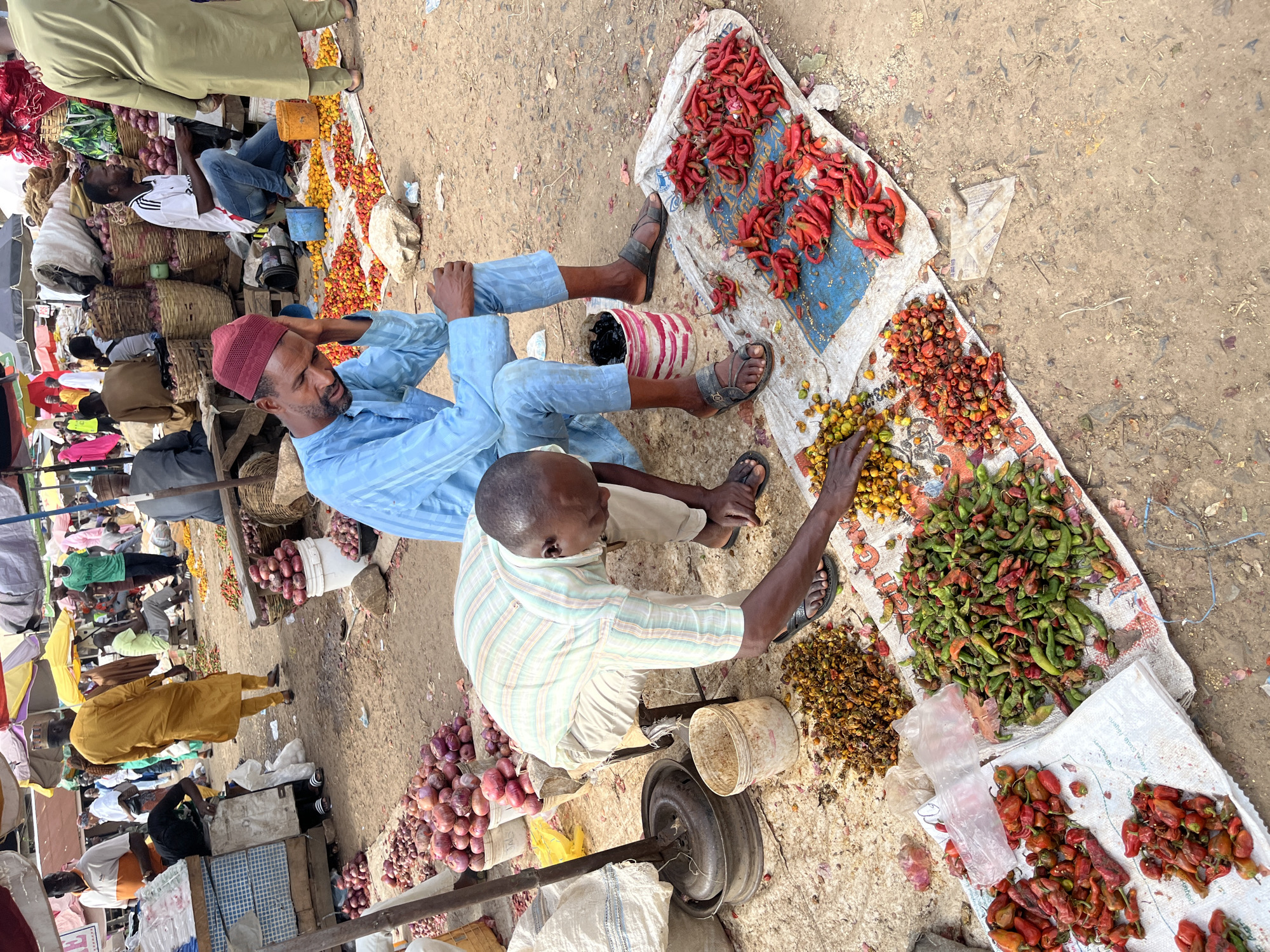 This media file depicts an outdoor market scene in Rafin Par, Nigeria. Two men are the primary subjects, seated on the ground amidst a variety of produce. One man, wearing a blue tunic and a red cap, is looking away from the camera. The other man, in a striped shirt and light-colored pants, is facing the camera and appears to be interacting with some of the goods. They are surrounded by piles of red chilies, green chilies, small dried fruits, and onions. Several woven baskets are visible, along with plastic containers and bags. In the background, other people and market stalls are present, suggesting a bustling environment. The ground is made of dirt and gravel, common in such settings. The lighting suggests it is daytime, likely mid-morning or afternoon. The overall impression is of a typical day in a Nigerian market, with vendors and shoppers engaged in commerce. No discernible text is visible in the image.