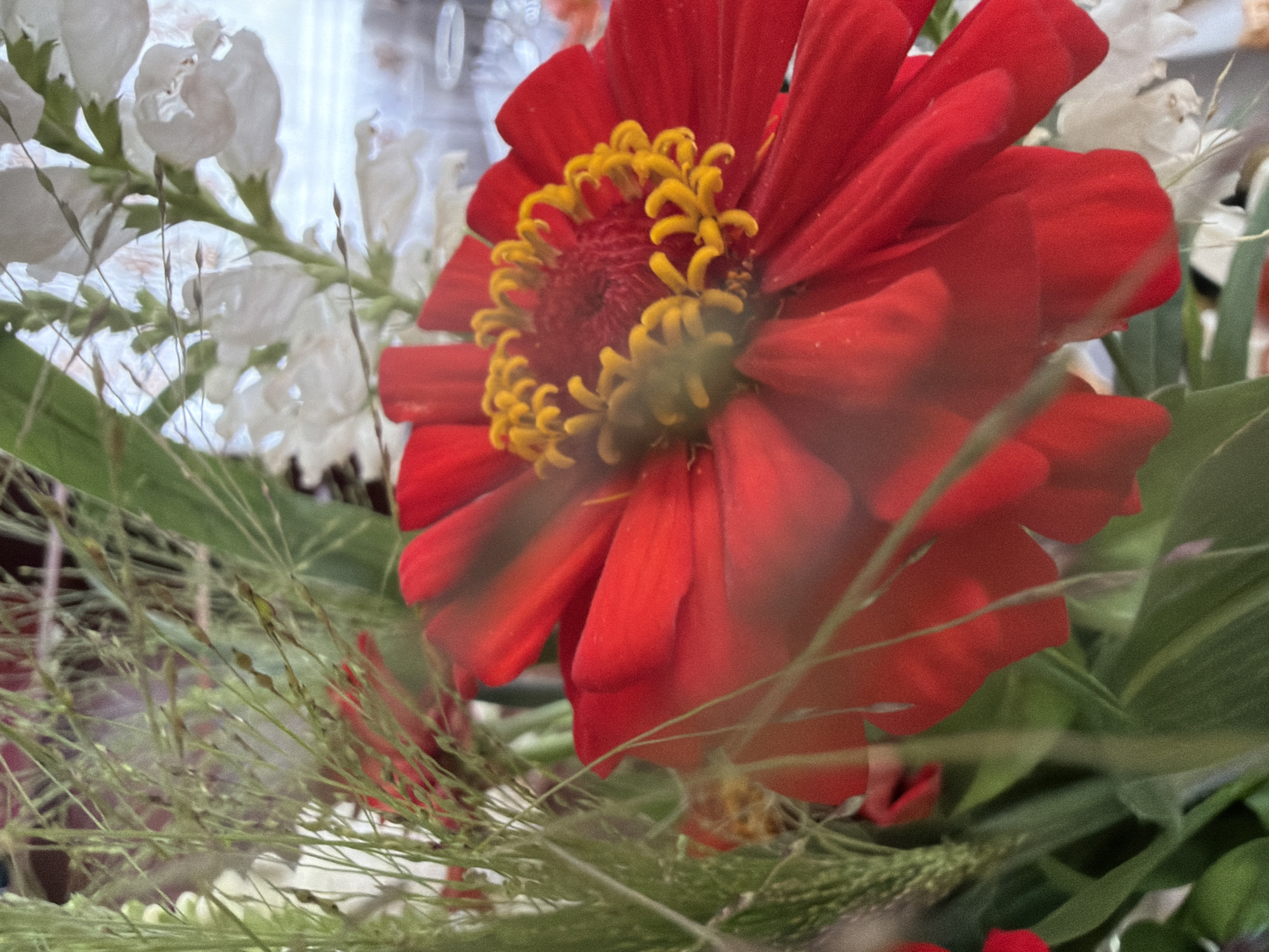 A close-up, shallow-depth-of-field shot captures a bouquet of flowers, prominently featuring a vibrant red zinnia with a bright yellow center. Delicate, wispy green stems and small white flowers are also visible in the arrangement. The background is blurred, suggesting an indoor setting, possibly a home or event space. The image is focused on the floral arrangement, with no people or discernible actions present. The overall scene evokes a sense of natural beauty and a tranquil atmosphere. There is no specific information within the image to indicate its location in Радашковіцкі сельскі Савет, Belarus.