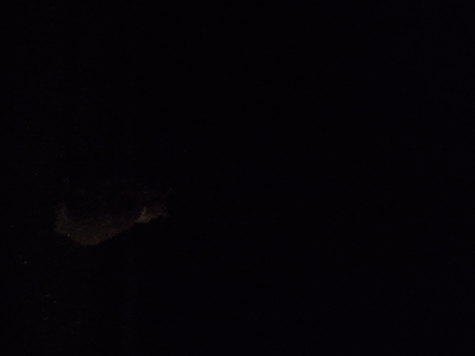 The image depicts a dark environment with a lone, fluffy subject sitting in the lower right quadrant. The subject appears to be an animal, possibly a cat, with its body facing away from the viewer. Its fur is a reddish-brown hue, and it seems to be looking to its left. The background is uniformly black, suggesting low-light conditions. There are no discernible structures, landmarks, or other objects visible in the scene. The overall impression is one of a quiet, solitary moment in a dark setting. The location in Sooblase, Estonia, is not evident from the visual information provided.