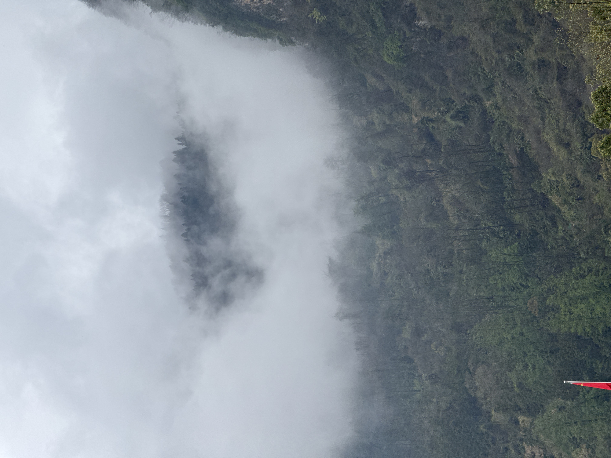 The image displays a mountainous landscape in Wulingyuan, China, enveloped in dense fog and overcast conditions. The upper portion of the scene is entirely obscured by thick, white-grey clouds. Below this, multiple layers of forested mountains are visible through varying densities of fog, creating a tiered effect. A distinct, dark green forested peak emerges from a prominent band of fog in the upper-middle section.
Steep, vegetated slopes dominate the lower two-thirds of the image, covered by a mix of trees, some appearing bare or thinly leaved, while others exhibit green foliage. On the far right, a sheer rock face, partially covered in greenery, ascends vertically into the fog. In the lower-left corner, a red flag is partially visible on a flagpole, with only a portion of its red fabric and the top of the pole extending upwards against the forested backdrop. No human subjects, animals, or additional structures are present. The lighting is diffused and uniform due to the heavy cloud cover and fog.