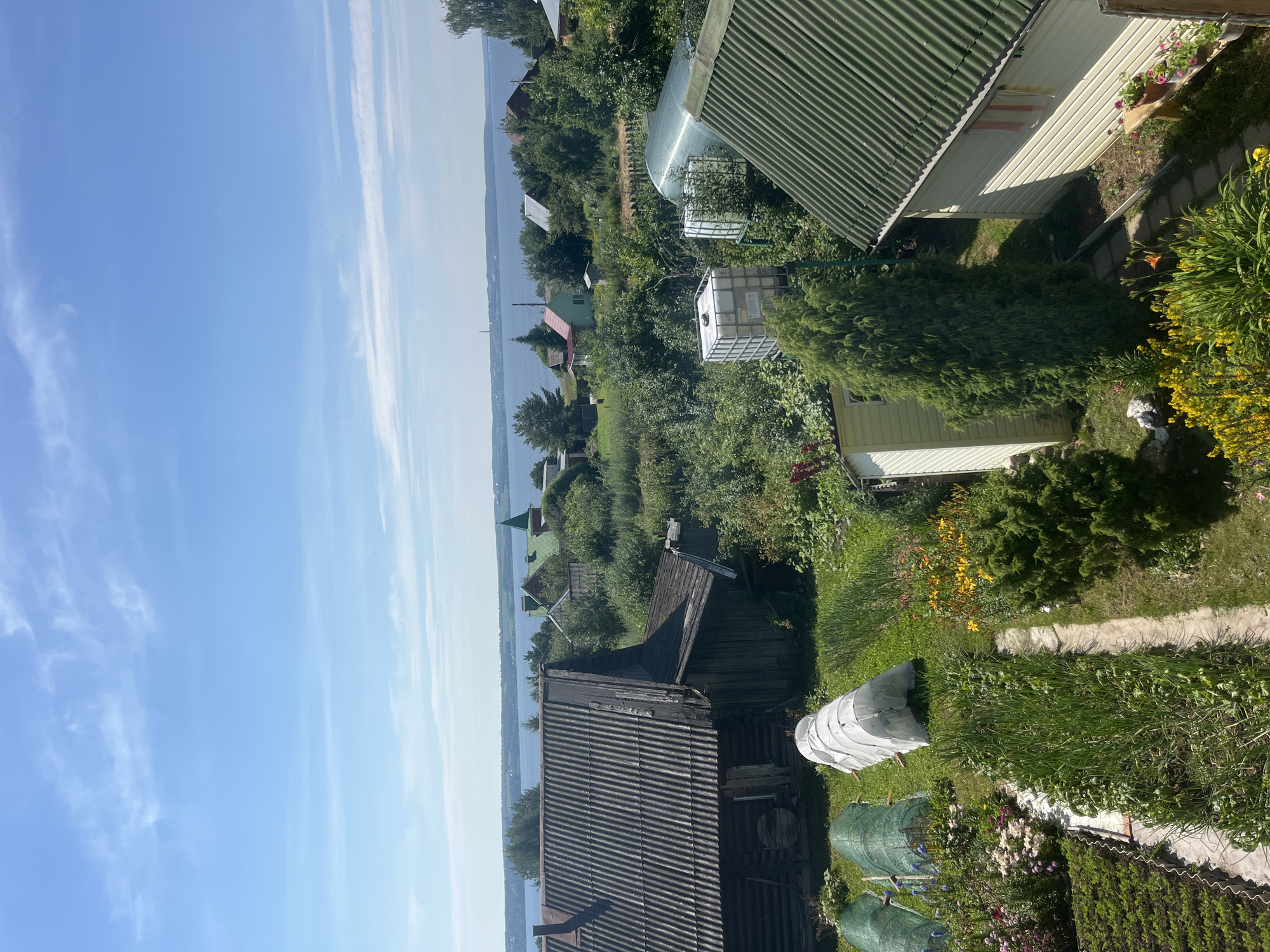 The image depicts a rural landscape under a clear blue sky with wispy clouds. The foreground shows a garden with rows of vegetables and flowers, including some covered with protective netting or plastic sheeting. A path runs through the garden, bordered by greenery and flowering plants.
In the middle ground, several structures are visible. To the left, a weathered, dark-colored wooden building with a corrugated roof dominates the scene. Adjacent to it, there are more garden structures and a large white water tank. Further into the scene, a greenhouse or hoop house is present, along with other smaller buildings and trees. A second building with a green corrugated roof is situated to the right, with a light-colored wall and a wooden bench outside.
In the background, a body of water, likely a river or lake, stretches across the horizon. Several houses with green and red roofs are scattered along the shoreline, interspersed with trees. A tall green spire, possibly belonging to a church, is visible in the distance. The overall impression is that of a peaceful, summer day in a village or rural settlement, possibly Gari, Russia, given the architectural style and natural setting. There are no people visible in the image.