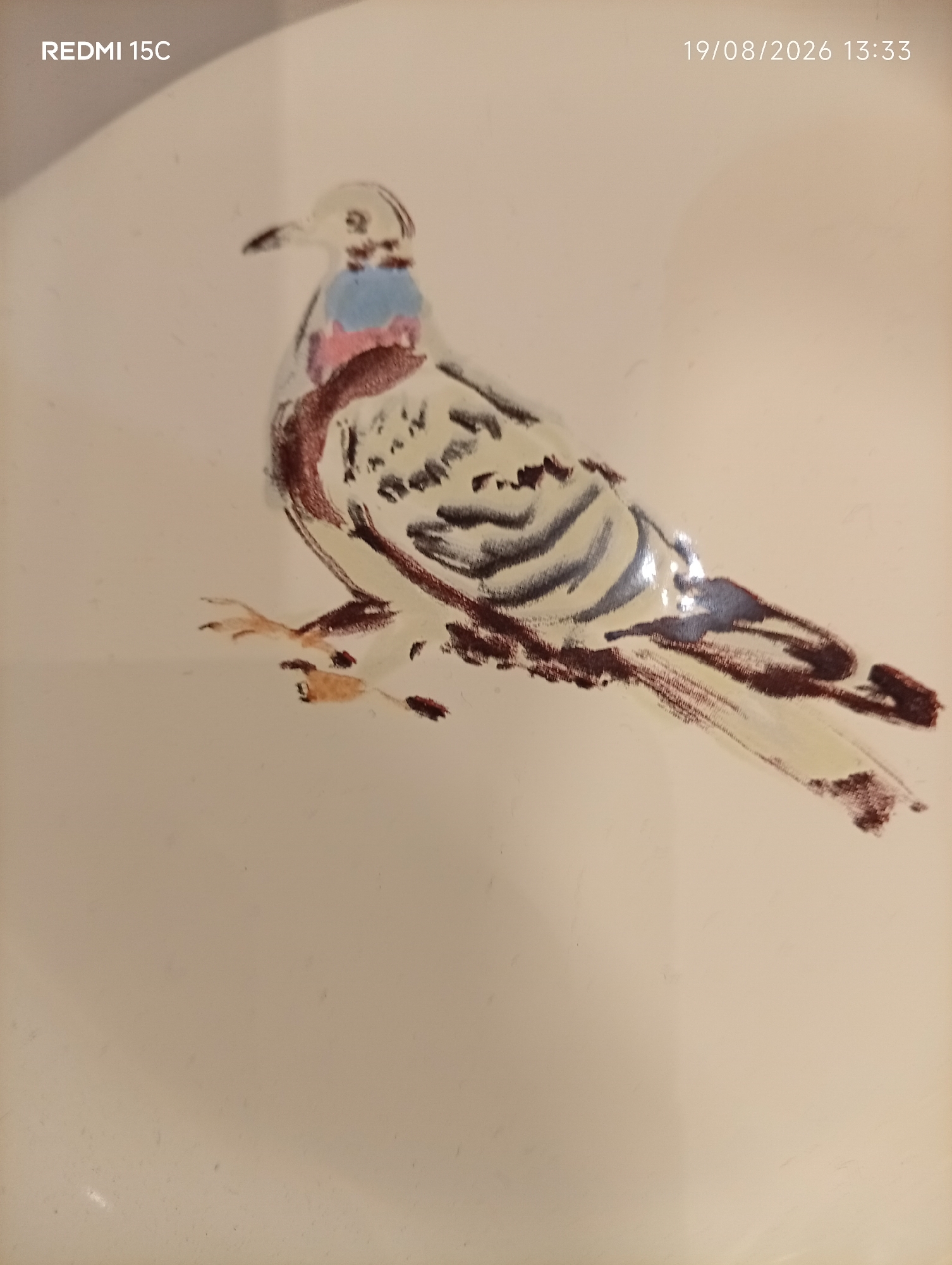 The image shows a close-up, top-down view of a painting of a bird. The bird is depicted in a watercolor or gouache style, with loose brushstrokes and a muted color palette. It is predominantly white with streaks of grey, brown, and blue. The bird is facing left, with its head slightly lowered. Its feet are visible, appearing to be a light brown color. The background is a plain, light beige color. In the top left corner of the image, the text "REDMI 15C" is visible, indicating the device used to capture the photo. In the top right corner, the date and time "19/08/2026 13:33" are displayed. The location is not specified beyond "Unknown, Unknown."