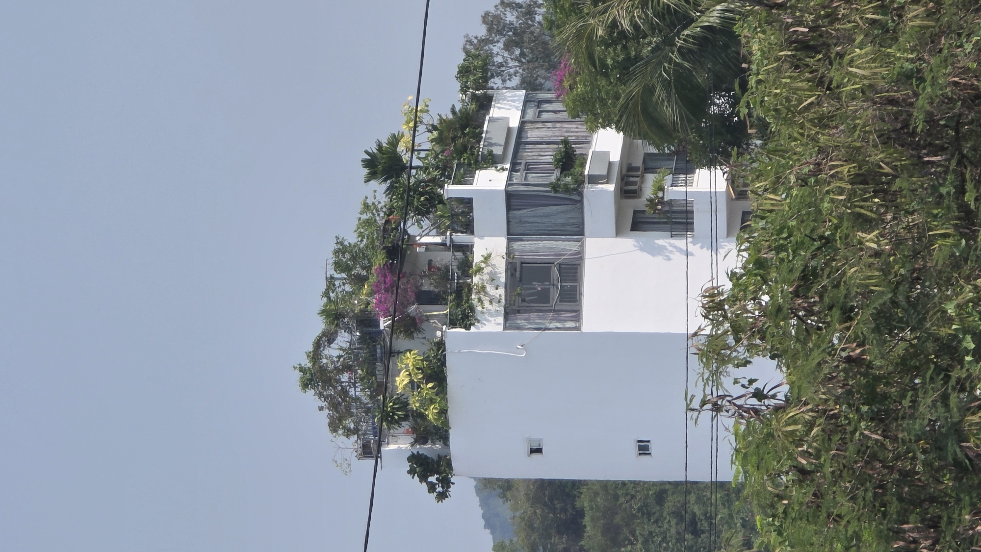 A white building with a minimalist architectural style is seen in a slightly rotated, long shot. The building has several floors with gray-toned glass panes, and is adorned with various plants and flowers on the balconies and rooftop, giving it a "green" or eco-friendly appearance. The building has small windows on its lower floor. Lush greenery surrounds it, partially obscuring the view and creating a natural border. The top of some trees is visible in the background. Several power lines are strung across the front of the building and slightly obscure its design. The sky is a clear, pale blue, suggesting fair weather. Based on the architectural style, surrounding tropical foliage, and the image prompt, it is likely located in Bắc Nha Trang, Vietnam.