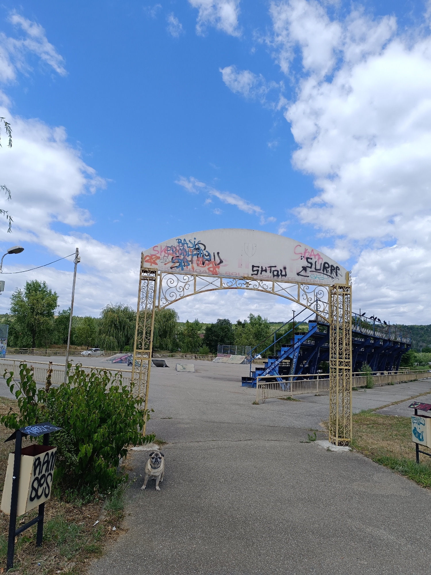 A pug dog stands on a paved path in front of a yellow metal archway. The archway is decorated with ornate scrolling and has graffiti spray-painted on its white canopy. Beyond the archway, there is a skatepark with ramps and structures. To the right of the archway is a blue and black bleacher structure with a metal fence. The sky is blue with scattered white clouds. In the foreground, to the left of the archway, is a green bush and a weathered trash can with graffiti on it. The overall scene suggests an outdoor recreational area, possibly a skate park, in Târgu Jiu, Romania.