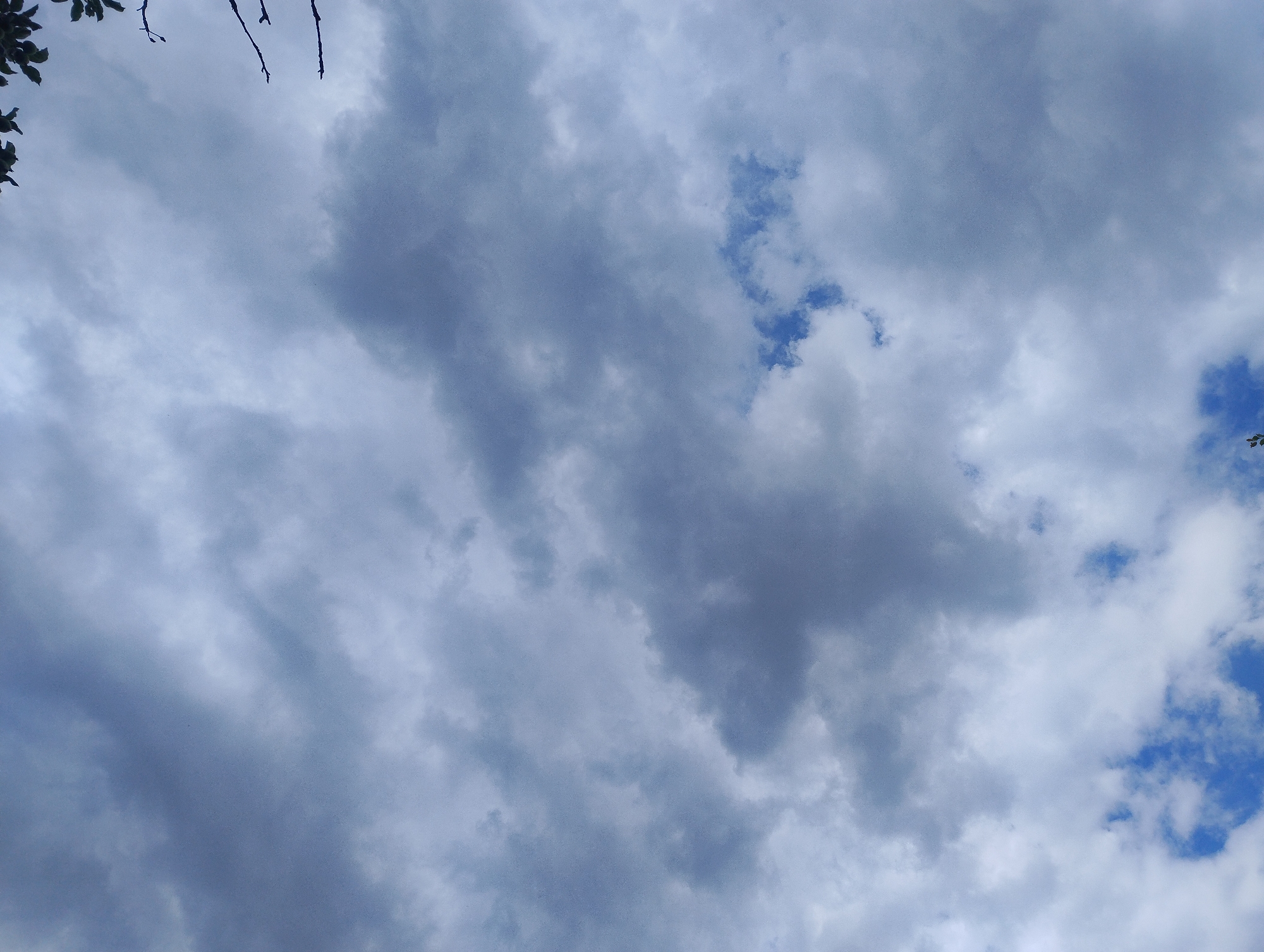 The image shows a cloudy sky with some blue patches visible. In the upper left corner, there are a few dark tree branches and green leaves. The clouds are predominantly gray and white, with some darker, more ominous formations suggesting a potential for rain. The overall impression is one of a partially overcast day. The location is Unknown, Unknown.