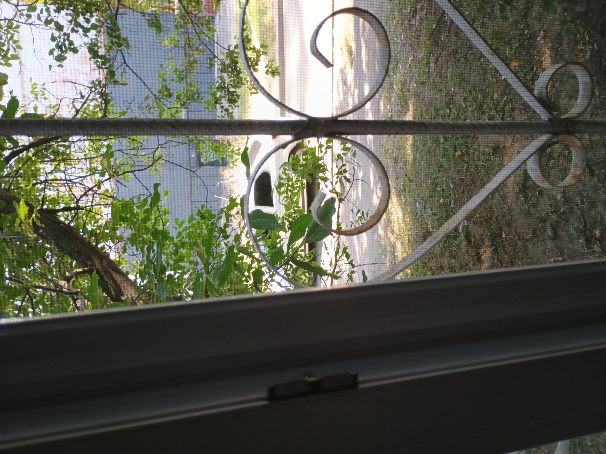 The image depicts a view from inside a building, looking out through a window with a screen and decorative metalwork. The scene outside is bathed in natural light, suggesting daytime. Green foliage from trees is visible in the foreground, with branches and leaves obscuring parts of the view.
Through the screen and metalwork, a path or driveway is visible, with dappled sunlight and shadows cast upon it. The metalwork features decorative scrolled elements, both on the upper and lower halves of the image, attached to a horizontal bar. The overall impression is of a residential setting, possibly a home or a building with a garden.
The time of day appears to be either morning or late afternoon, given the angle and quality of the sunlight. The weather seems pleasant, as evidenced by the clear view and the lushness of the greenery. The image conveys a sense of tranquility and a connection to nature, as if observing the outdoors from a sheltered vantage point. No people are visible in the frame, and no text is present. The location context of Zaporizhzhia, Ukraine, does not provide specific visual cues within the image itself.