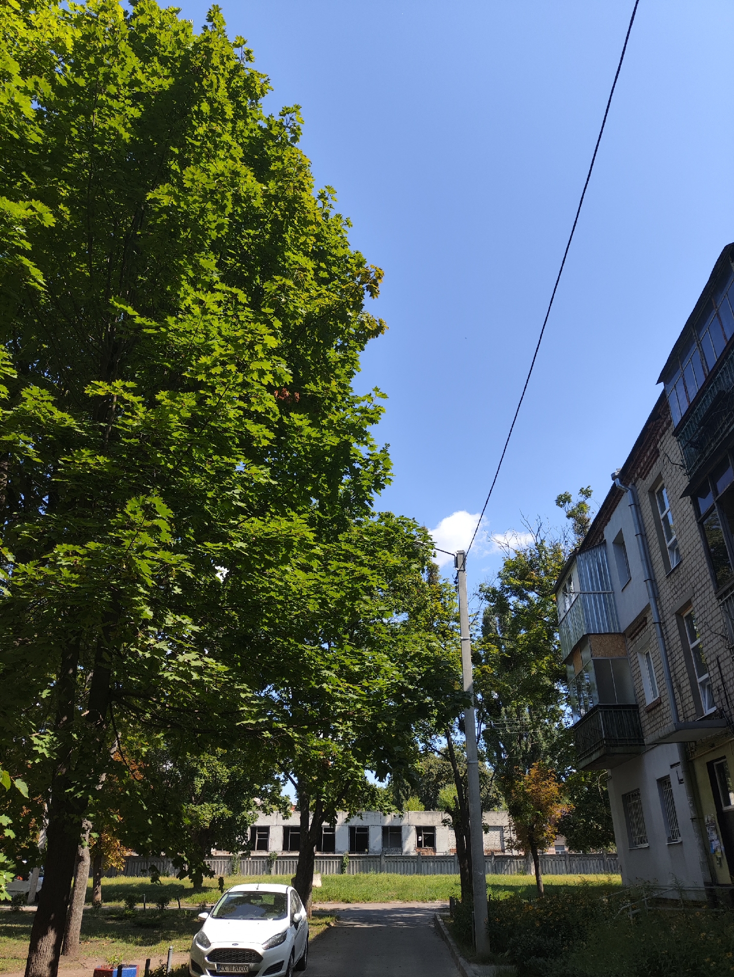 This is a street-level, outdoor, daytime, medium-angle, full-color photograph taken in Kharkiv, Ukraine. The scene depicts a street with a white Ford Fiesta parked on the right side of the frame. To the left of the car is a large tree with green foliage, and behind the tree, a building with boarded-up windows is visible. To the right of the car is a multi-story brick apartment building with balconies. A telephone wire runs diagonally across the upper portion of the image, from the top left to the top right. The sky is clear blue.