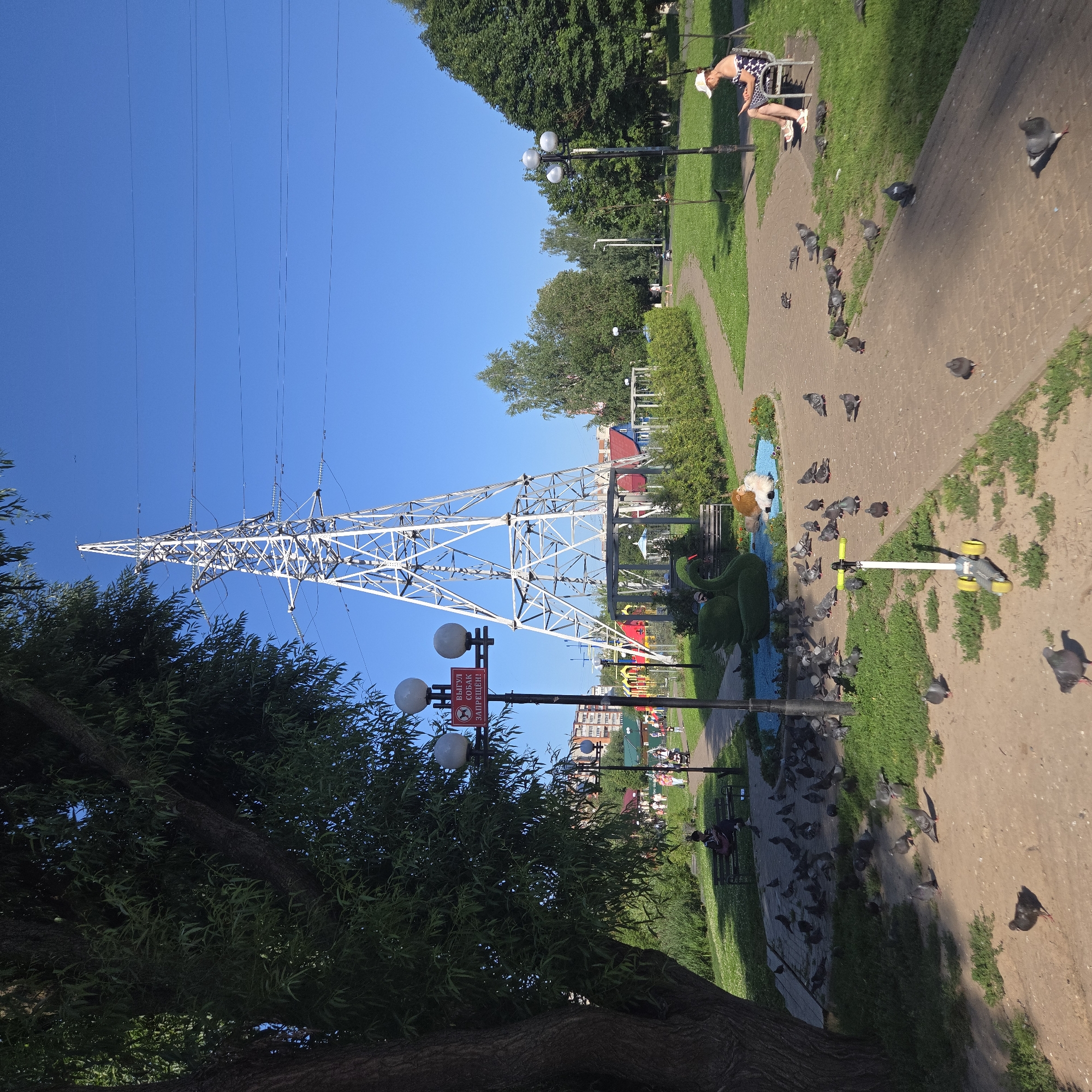 The image depicts a park scene in Vladimir, Russia, on a clear, sunny day. Dominating the background is a tall, white electricity pylon, a common sight in urban and semi-urban environments. In the foreground, a paved pathway curves through a grassy park area populated by numerous pigeons. To the left, a large tree provides shade.
Several people are visible in the park. On a bench to the right, a woman wearing a white cap and a patterned dress sits and looks at her phone. Further back, near a playground with colorful equipment, a few individuals are walking and pushing strollers. A sign on a lamppost to the left indicates that dog walking is prohibited in this area.
Several decorative elements are present, including a topiary swan and a lion figure near a small pool. A yellow scooter lies on the pathway. The overall environment suggests a recreational public space designed for relaxation and family activities.