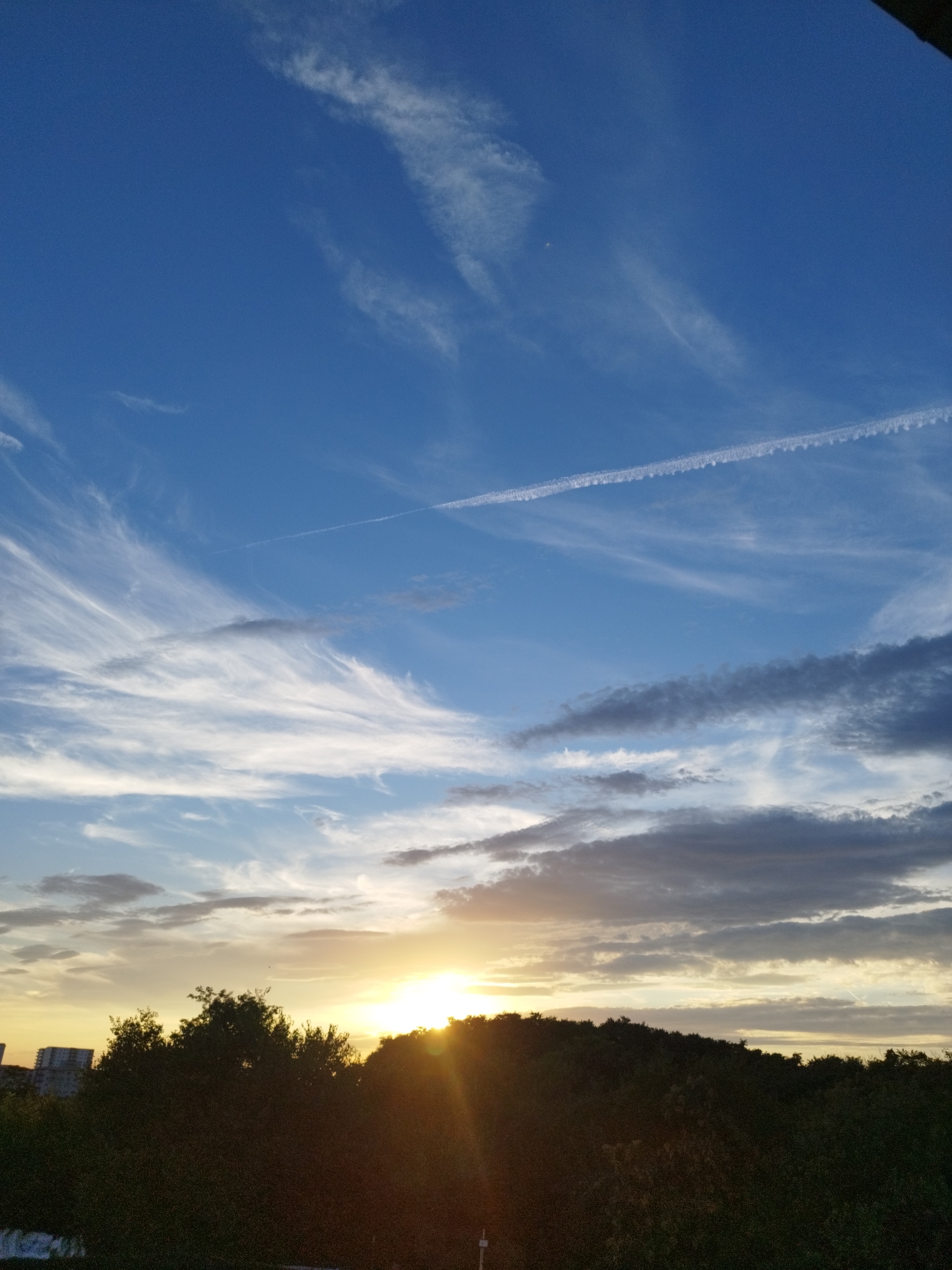 The image shows a sunset scene over a city, likely Bucharest, Romania, with a clear blue sky gradually transitioning to warmer hues near the horizon. Wispy white clouds streak across the upper portion of the sky, with a distinct contrail from an aircraft visible. Below, a line of silhouetted trees forms a dark foreground against the brighter sky. To the left, the outline of buildings suggests an urban environment. The sun itself is setting behind the trees, casting a golden glow and creating lens flare effects. The overall impression is one of a peaceful, urban sunset.